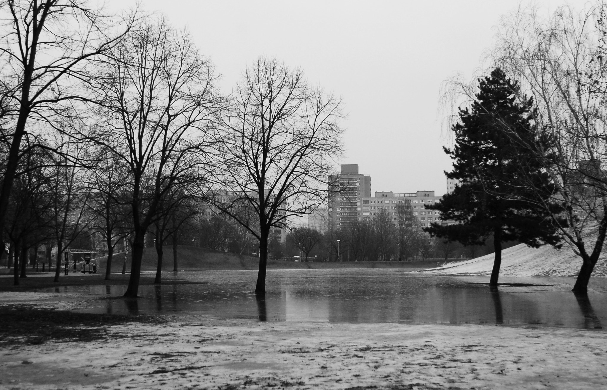 AF Zoom-Nikkor 28-85mm f/3.5-4.5 sample photo. Beyond the lake photography