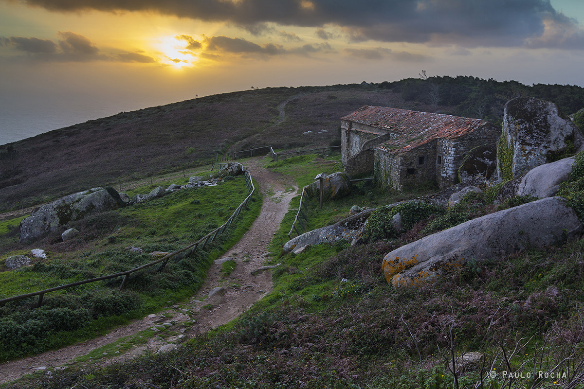 Tokina AT-X Pro 12-24mm F4 (IF) DX sample photo. Peninha photography