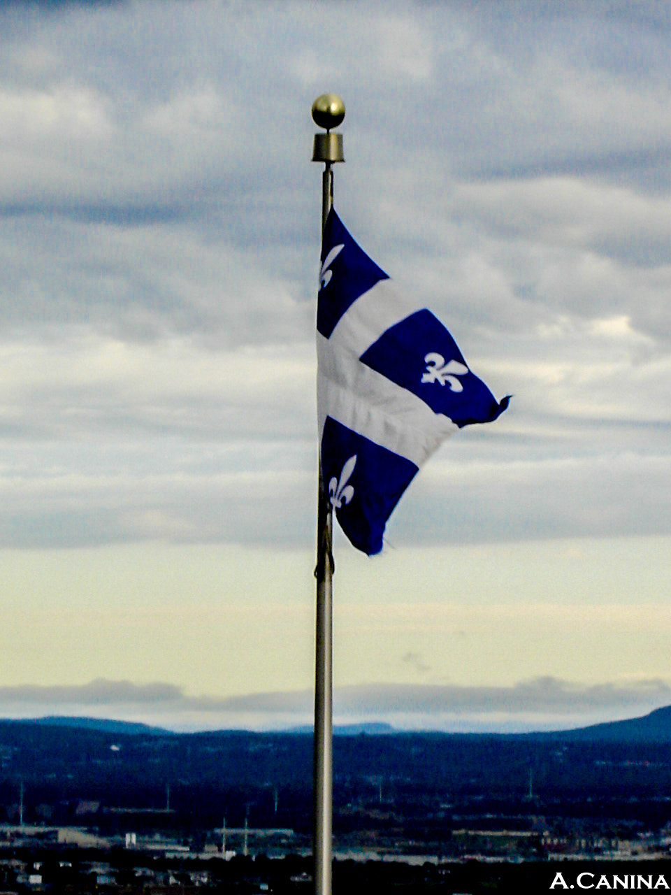 Sony DSC-W1 sample photo. "la fleurdelisé" - quebec flag photography