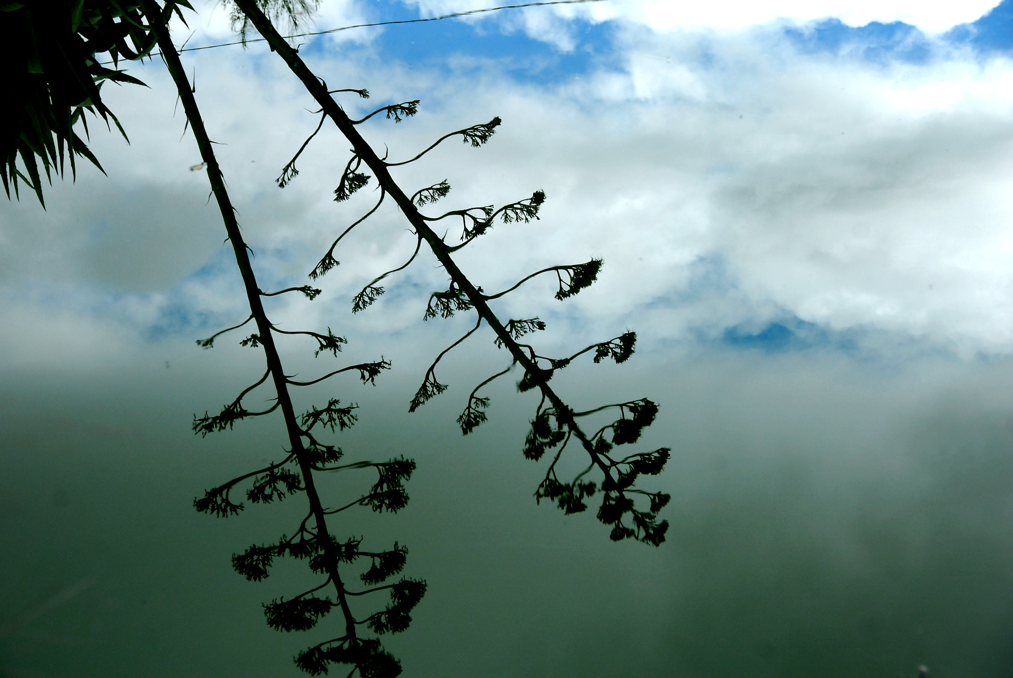 Nikon D200 sample photo. Reflejos photography