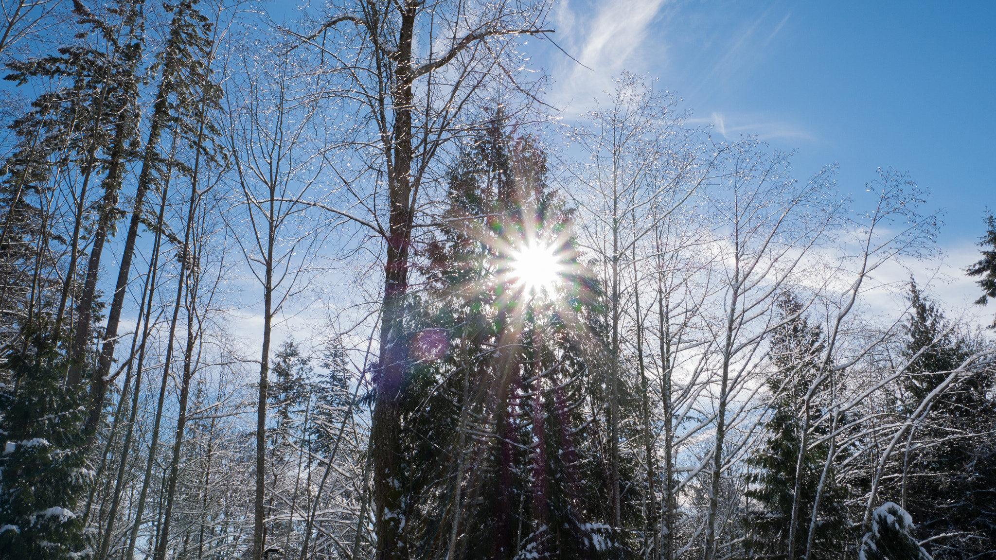 Panasonic Lumix DMC-G85 (Lumix DMC-G80) sample photo. Sun and snow photography