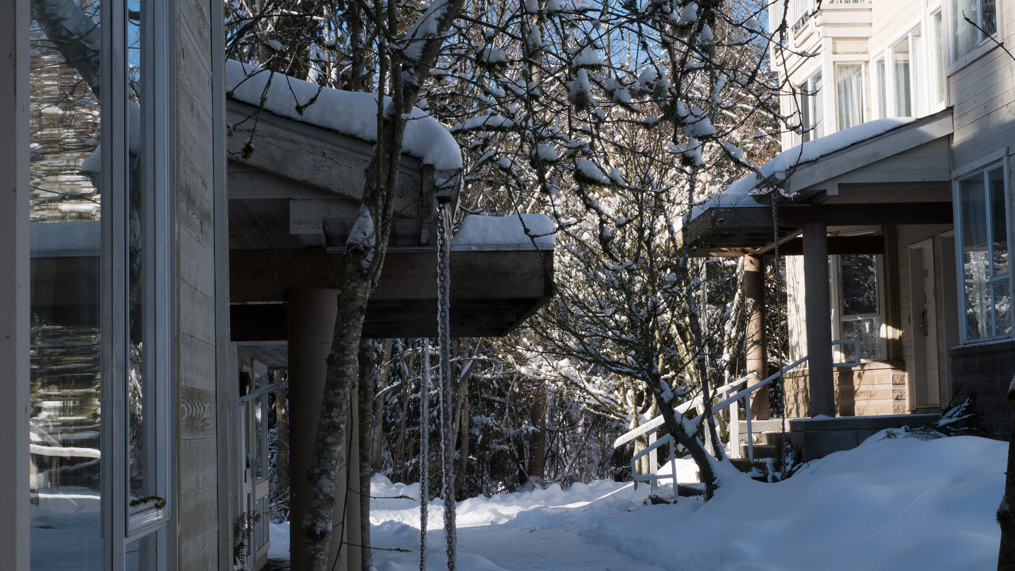 Panasonic Lumix DMC-G85 (Lumix DMC-G80) sample photo. Snowy view photography