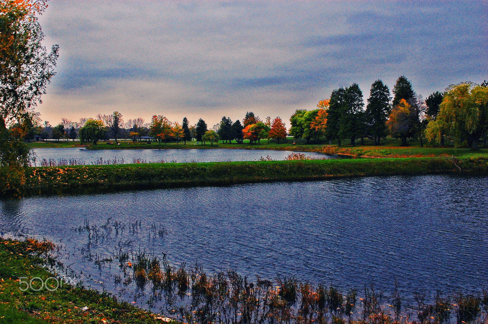 Nikon D40 sample photo. North ponds watercolor effect photography