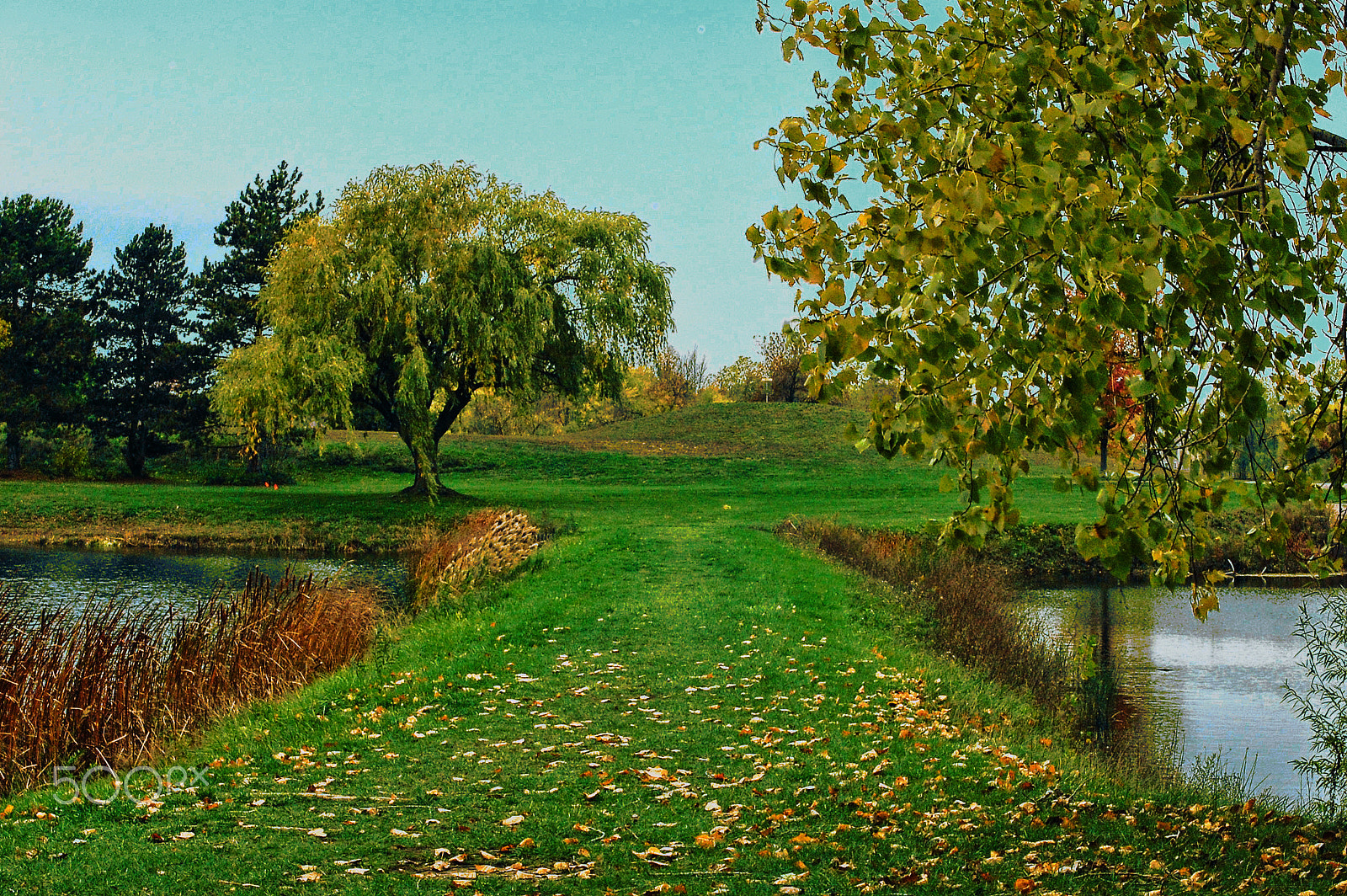 Nikon D40 sample photo. North ponds photography