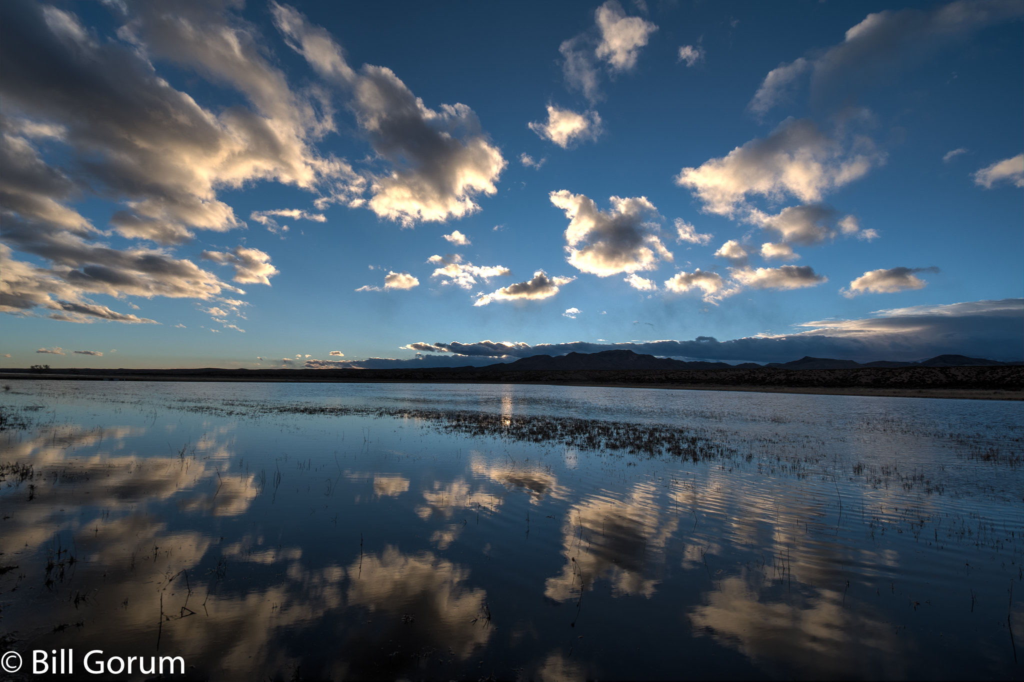 Nikon D500 sample photo. Evening clouds over a man-made marsh. photography