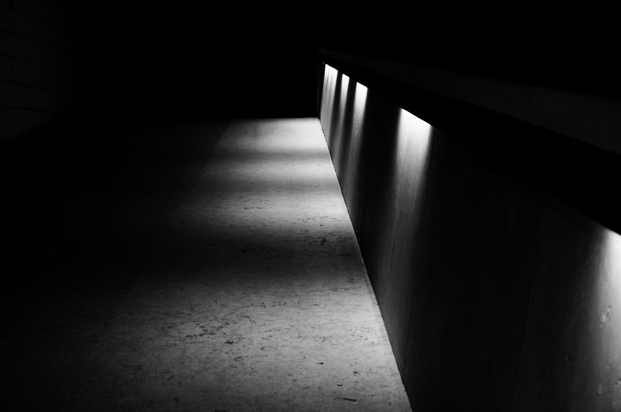Sony Alpha NEX-6 sample photo. Dark path photography
