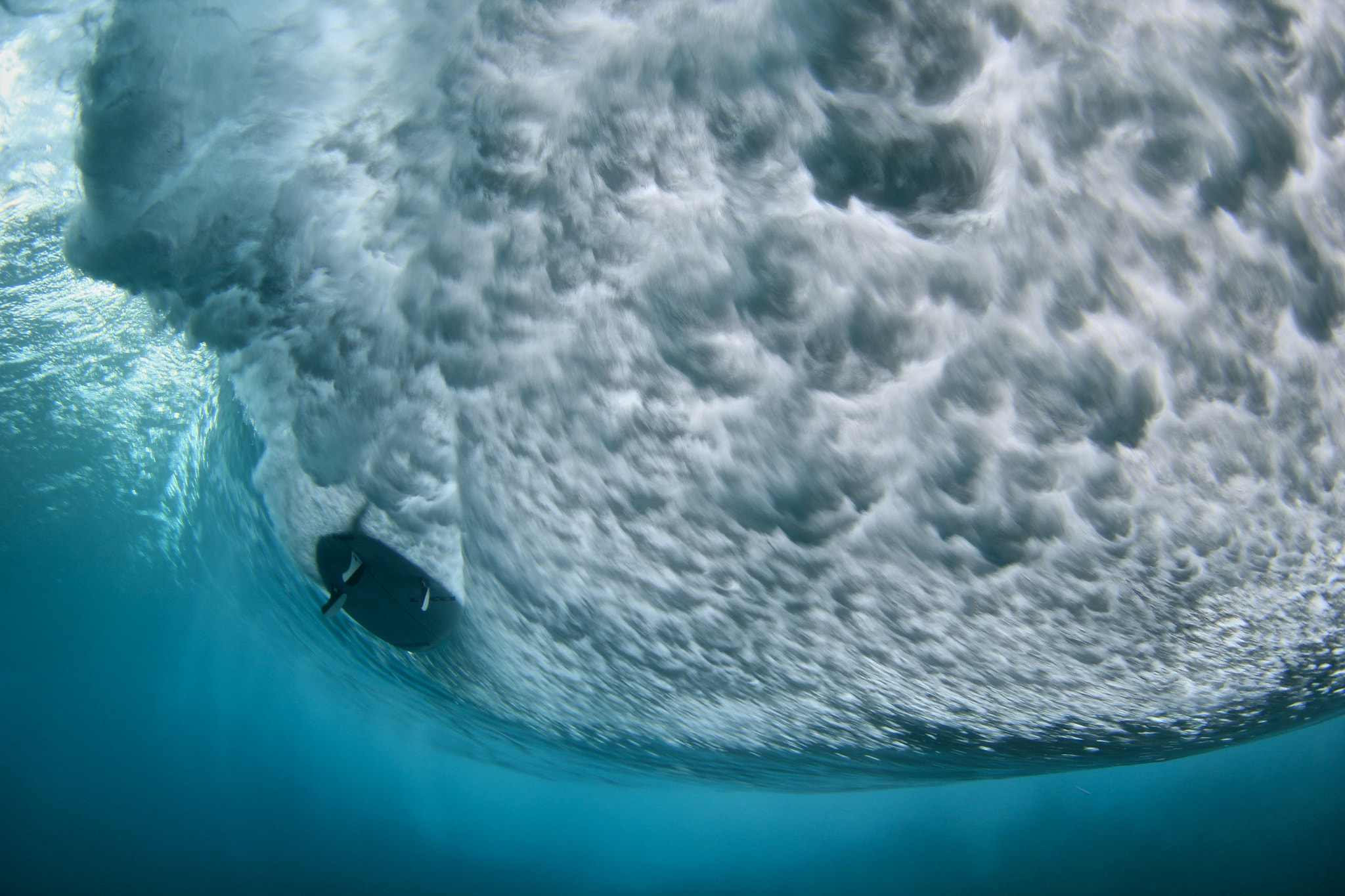 Canon EF 8-15mm F4L Fisheye USM sample photo. Underwater life.... photography