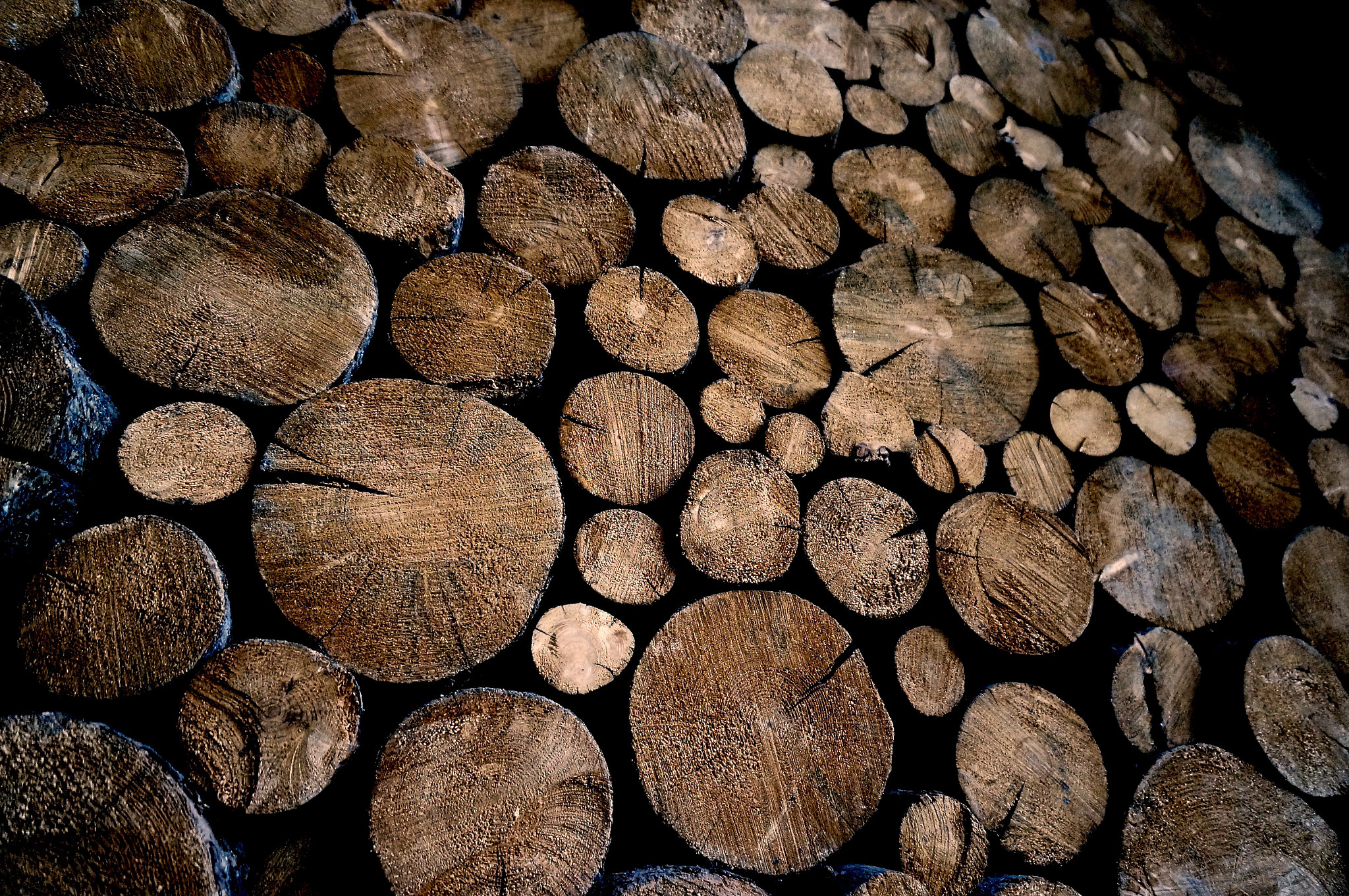 Sony Alpha NEX-6 sample photo. Burrels photography