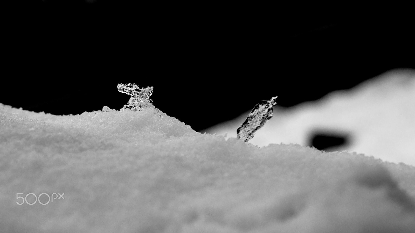 Minolta AF 28-105mm F3.5-4.5 [New] sample photo. Kleine welt photography