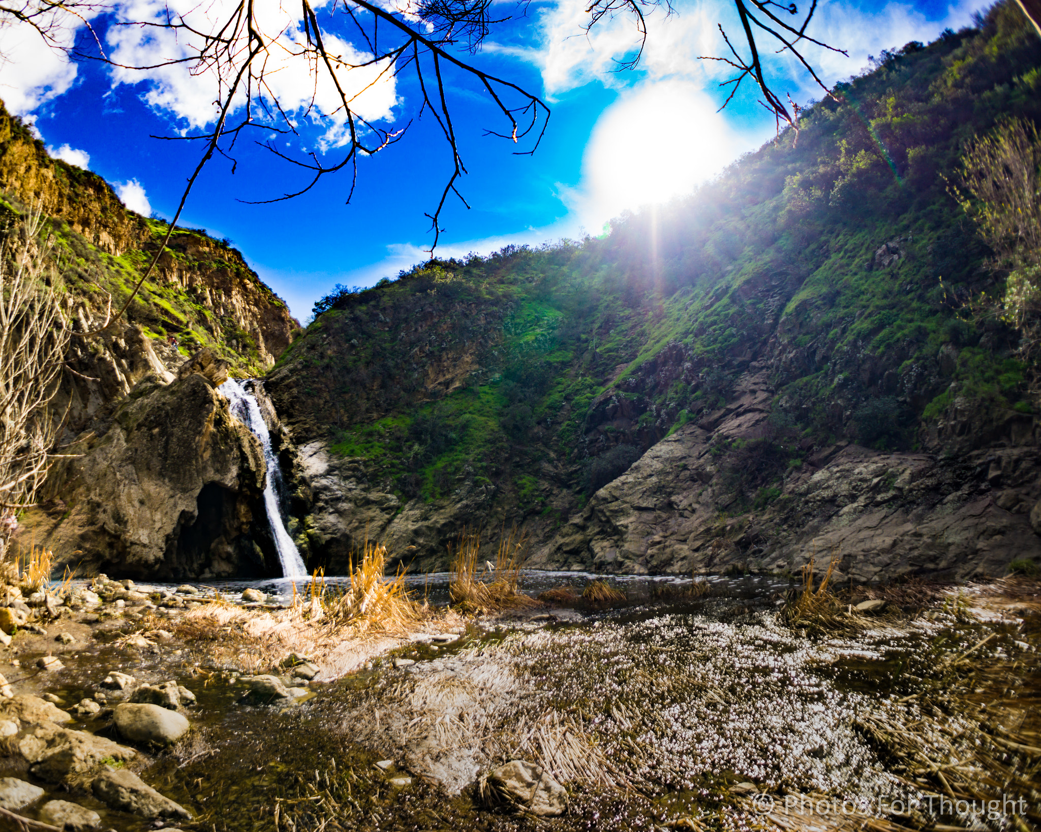 Sony a6000 + Sony E 16mm F2.8 sample photo. Wildwood photography
