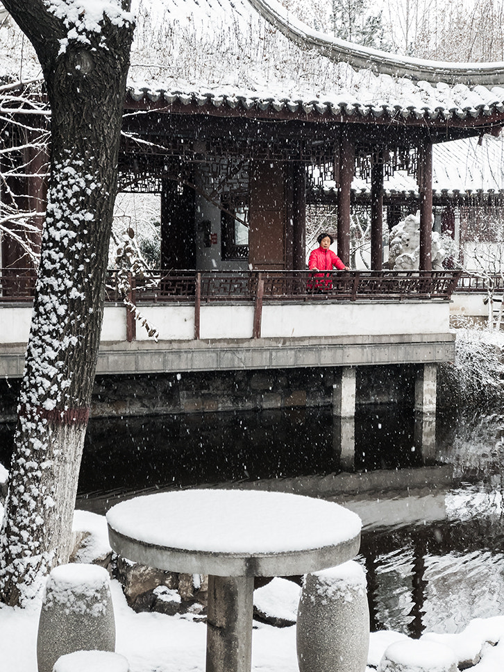 Jag.gr 645 PRO Mk III for Apple iPhone 7 plus sample photo. 白雪却嫌春色晚，故穿庭树作飞花 photography