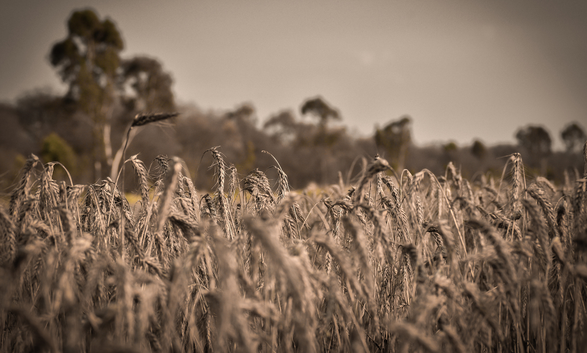 Nikon D7200 + Nikon AF-S Nikkor 85mm F1.8G sample photo. Amanecer photography