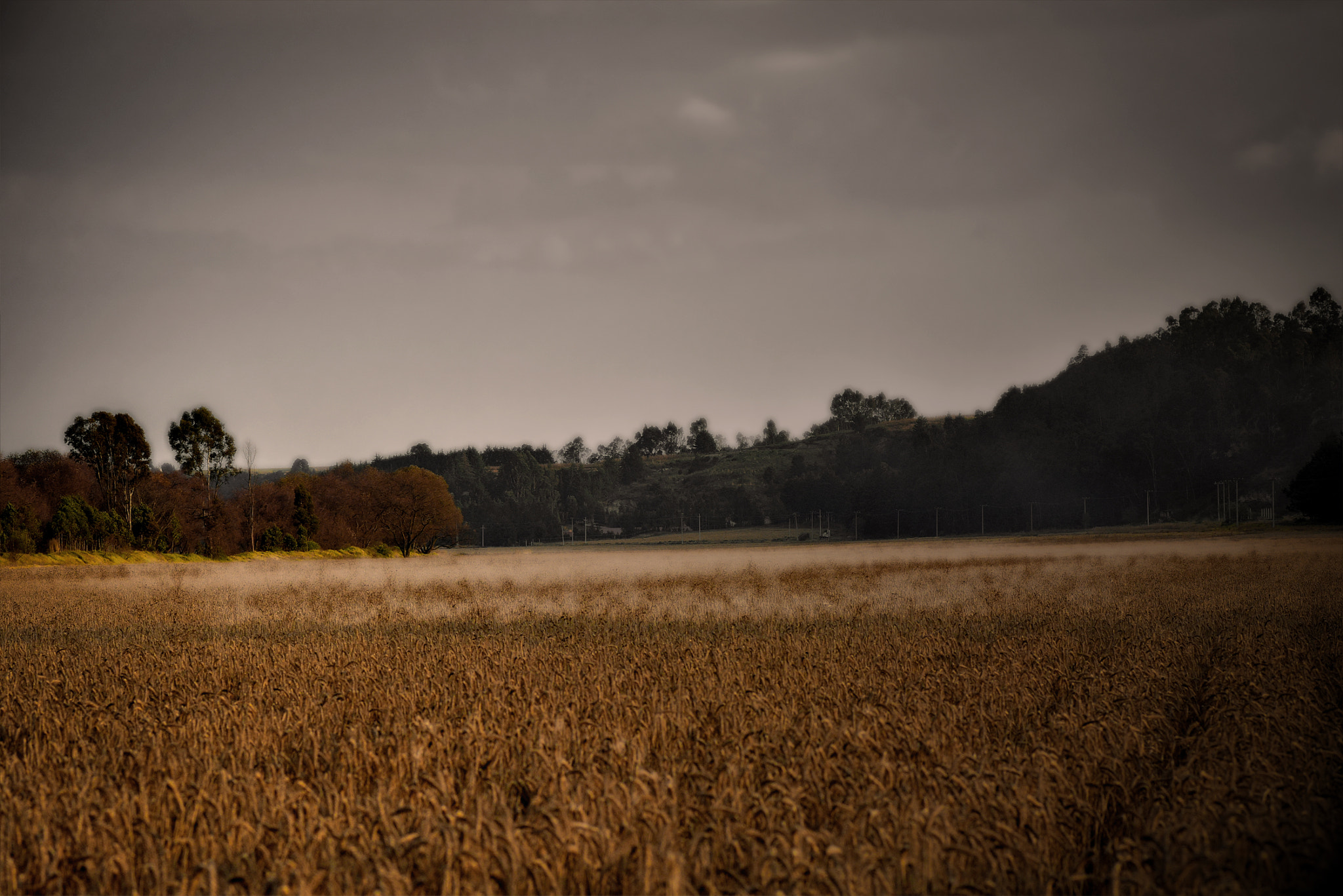 Nikon D7200 + Nikon AF-S Nikkor 85mm F1.8G sample photo. Amanecer photography