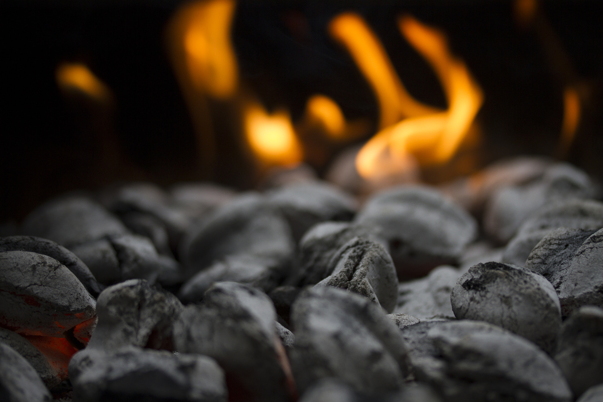 Canon EF-S 60mm F2.8 Macro USM sample photo. Where there's fire photography