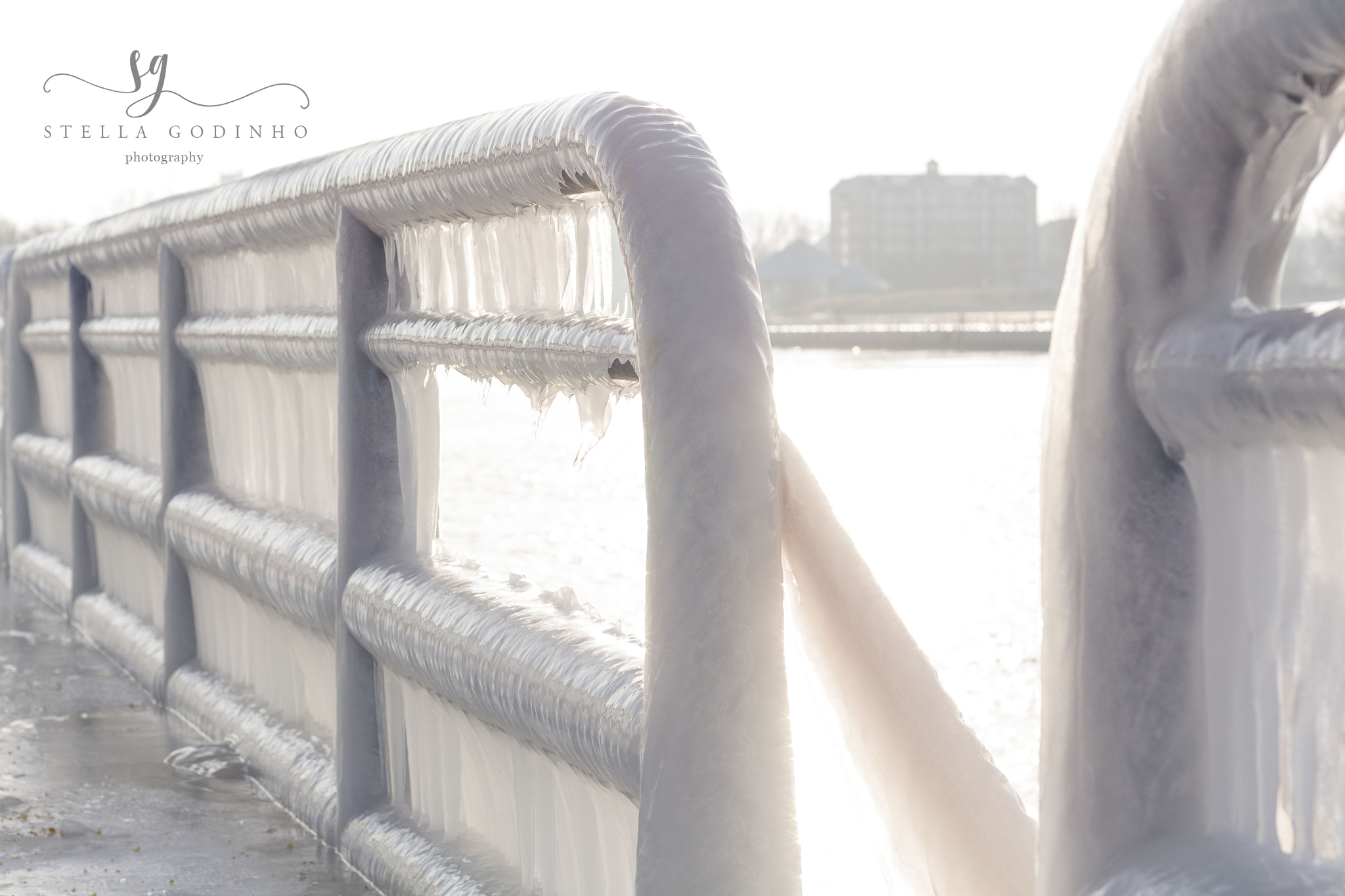 Canon EF 50mm F1.4 USM sample photo. Img photography