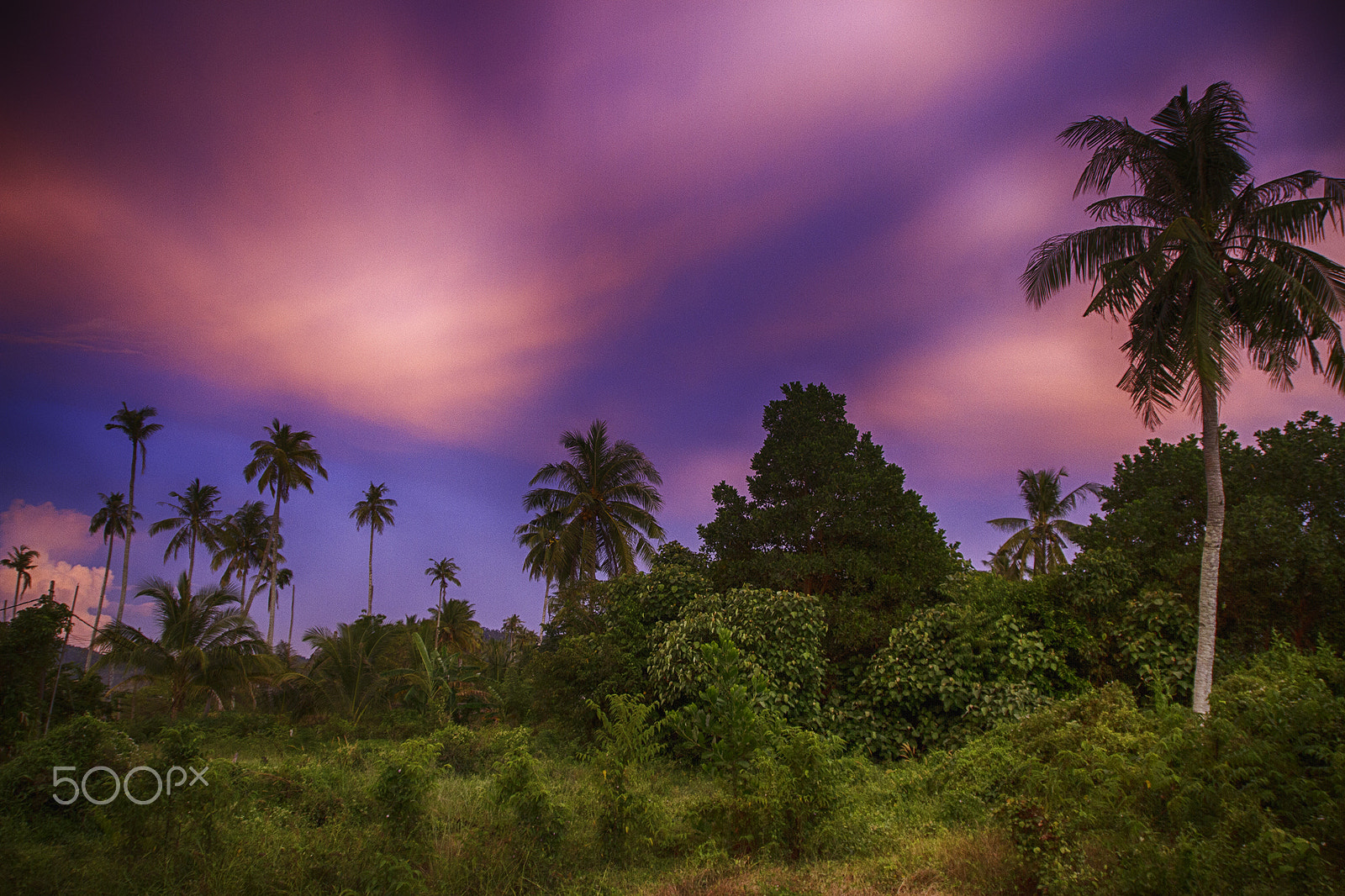Sigma 18-250mm F3.5-6.3 DC OS HSM sample photo. After sunset photography