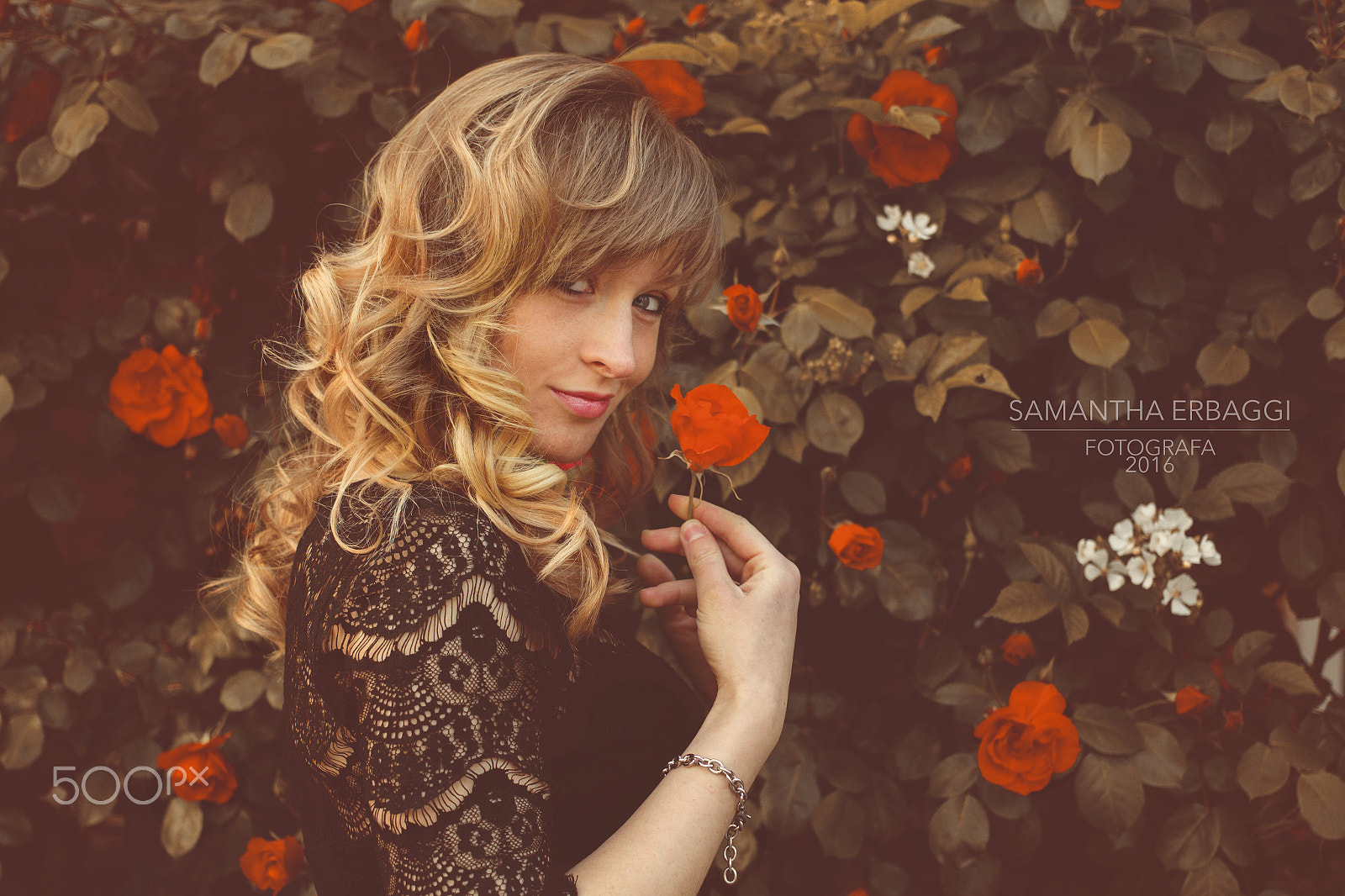 Canon EOS 60D + Canon EF 40mm F2.8 STM sample photo. Rose rosse photography