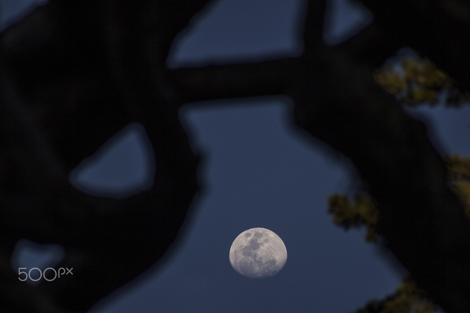 Canon EOS 600D (Rebel EOS T3i / EOS Kiss X5) sample photo. Moon photography