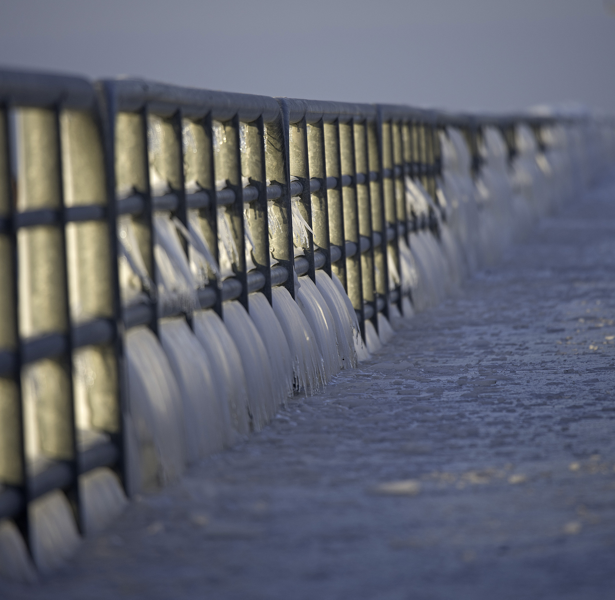 Nikon Nikkor AF-S 300mm F4E PF ED VR sample photo. Iced photography