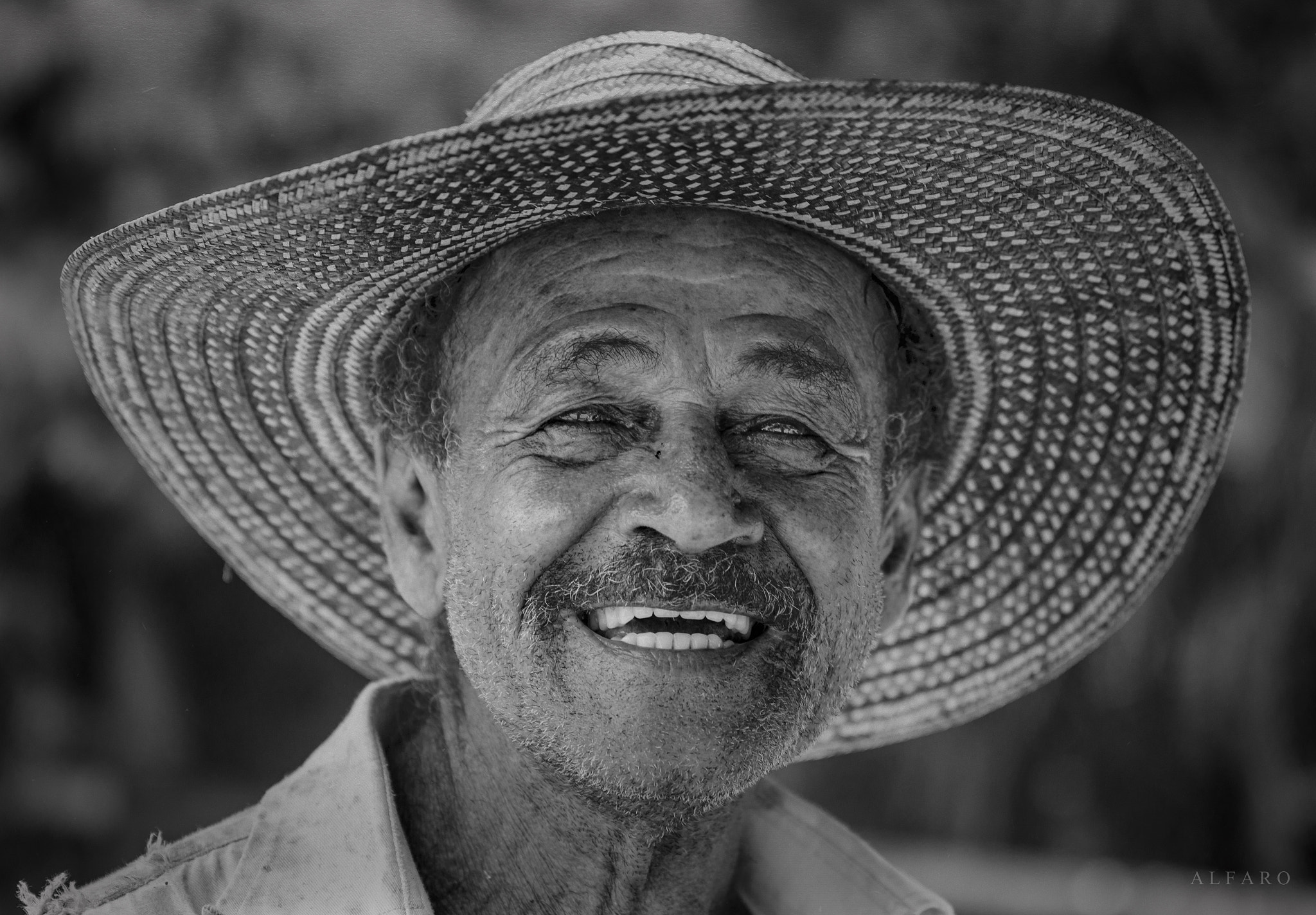 Canon EF 24-70mm F2.8L II USM sample photo