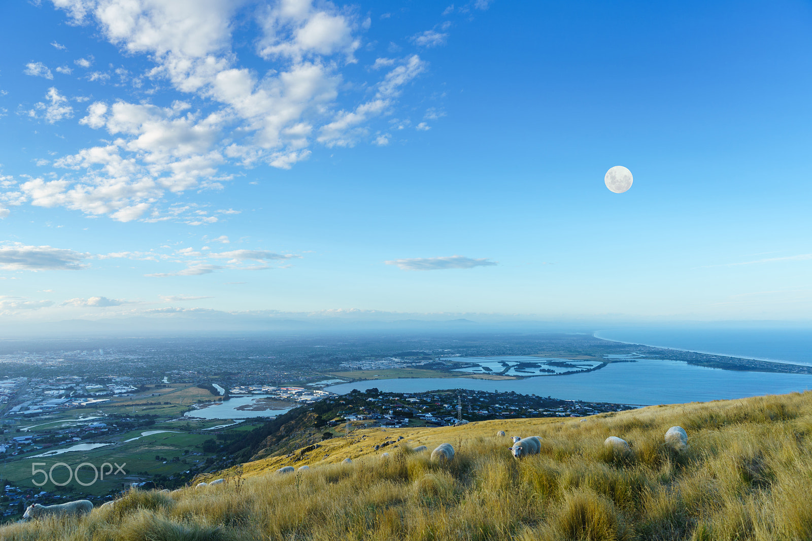 Sony Alpha a99 sample photo. Moon and fog, city and sheep photography