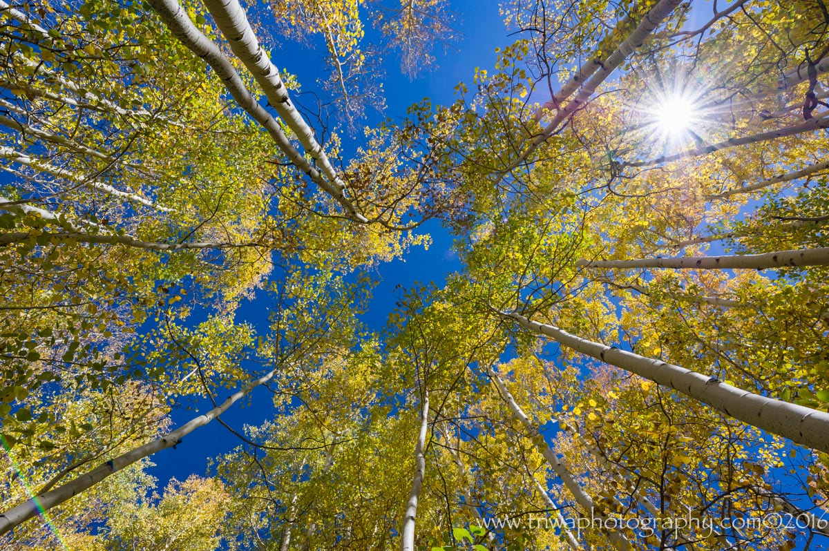 Nikon D3S sample photo. The sky's the limit photography