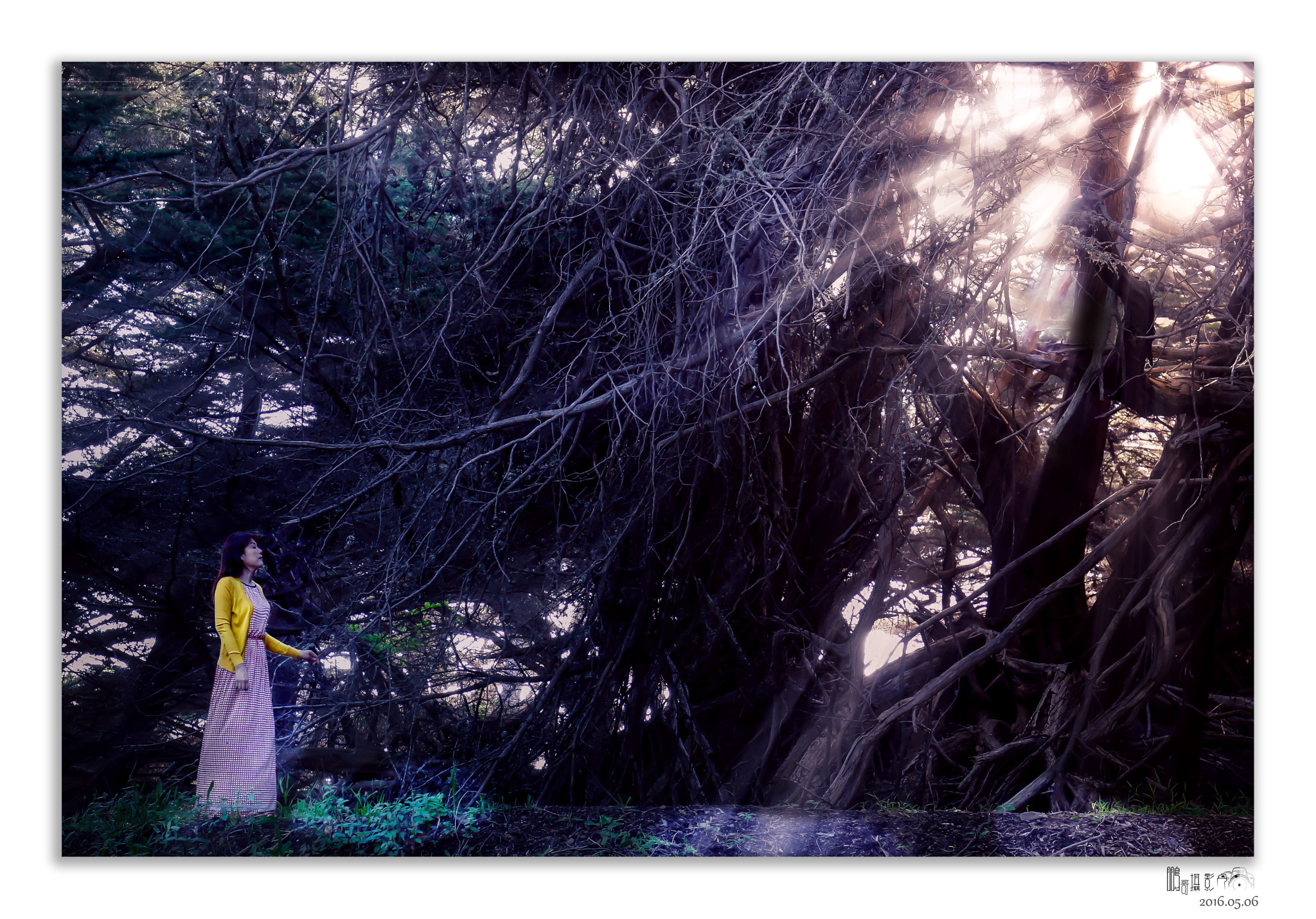 Canon EF 16-35mm F4L IS USM sample photo. 一号公路 photography
