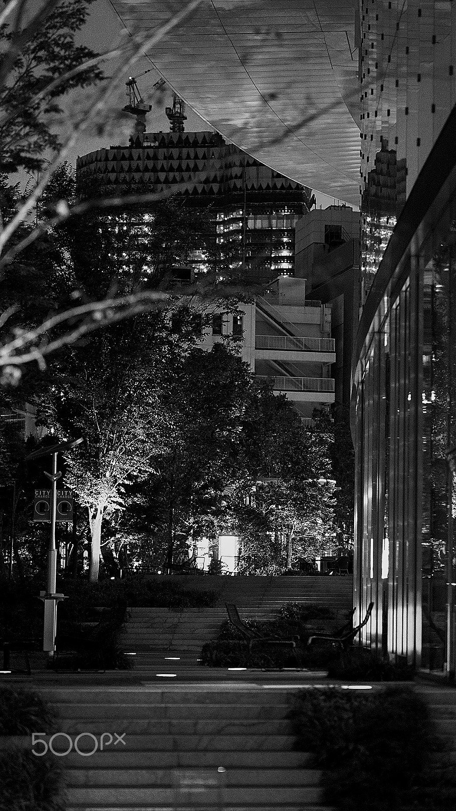 Sony a7S II + Sony FE 85mm F1.4 GM sample photo. Night stroll photography