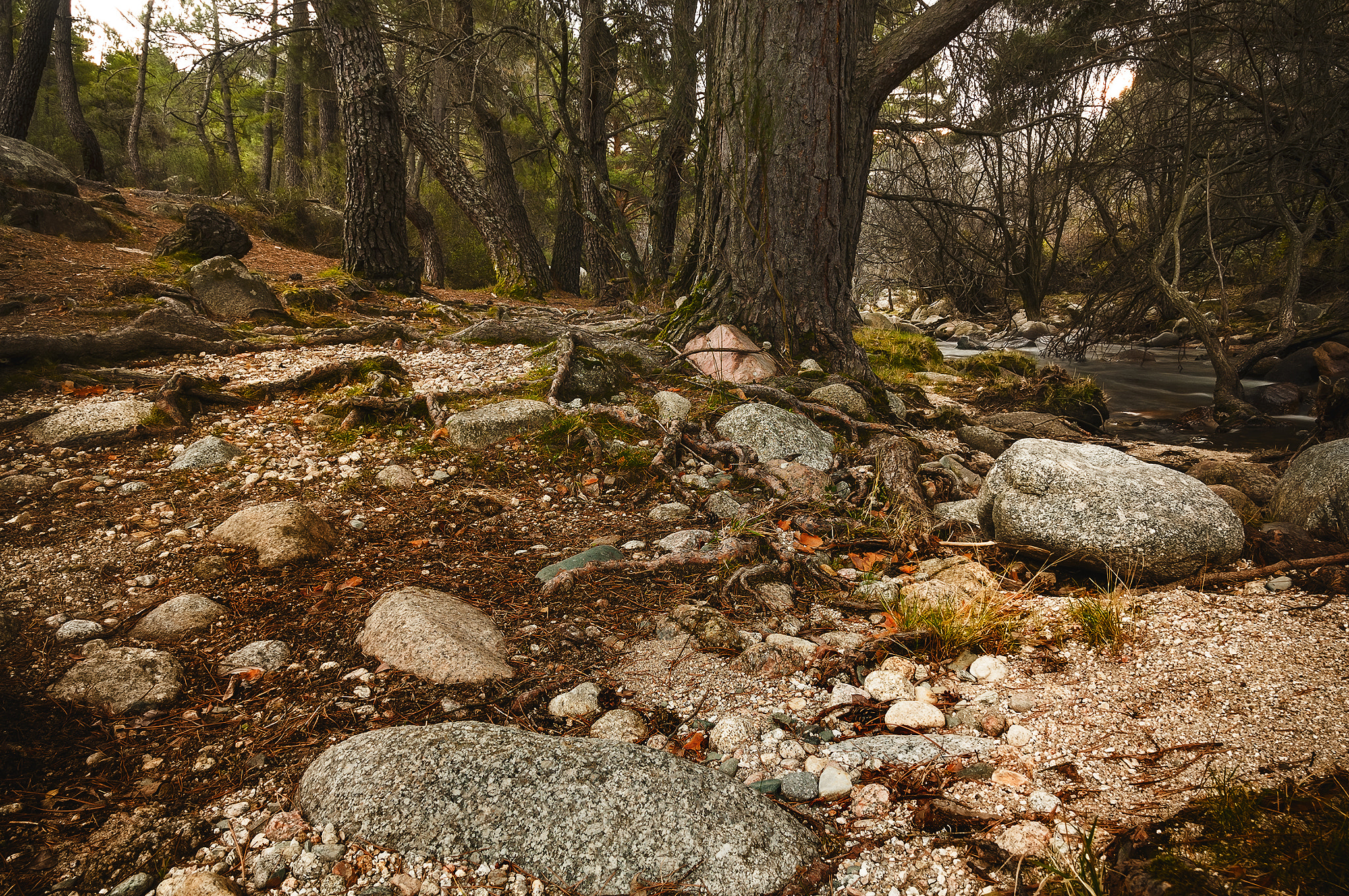 Sigma 17-50mm F2.8 EX DC OS HSM sample photo. Pedri00178 photography