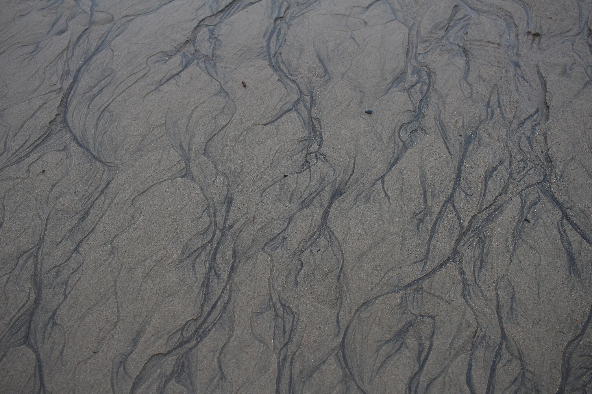 Canon EOS 100D (EOS Rebel SL1 / EOS Kiss X7) sample photo. Iron in the sand photography