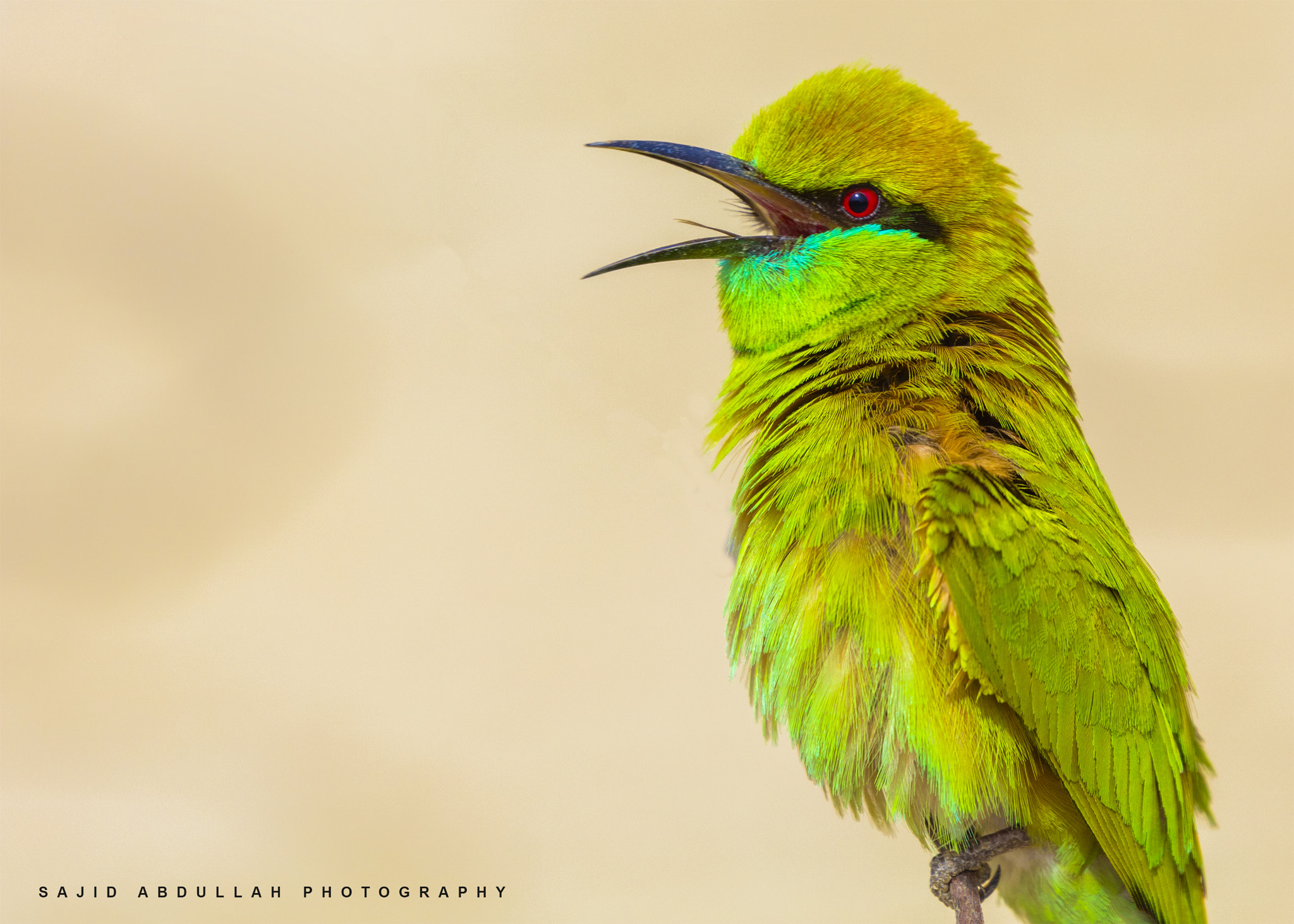 Canon EOS 5DS R sample photo. Colors of nature! photography