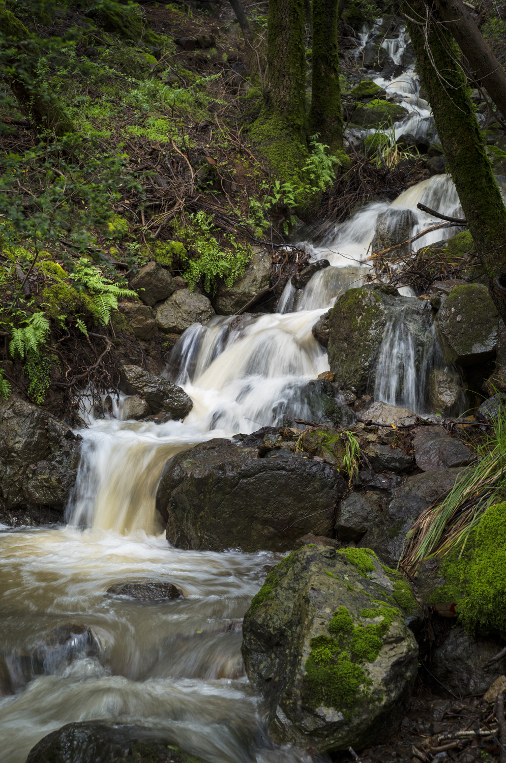 Vario-Elmar 30-90 sample photo. Goodhill falls photography