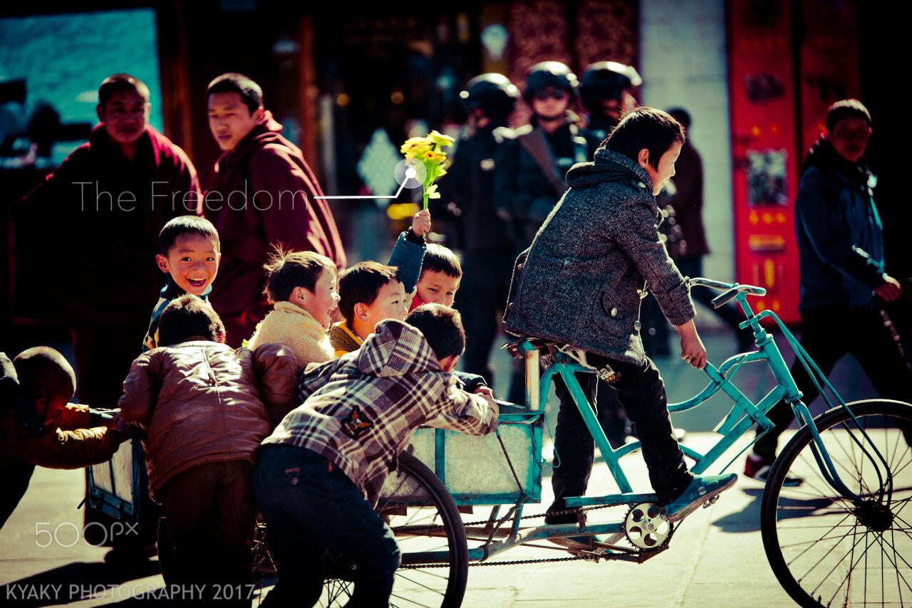 Nikon D810 + Tamron SP 70-200mm F2.8 Di VC USD sample photo. "the freedom", jokhang, lhasa, tibet, china photography