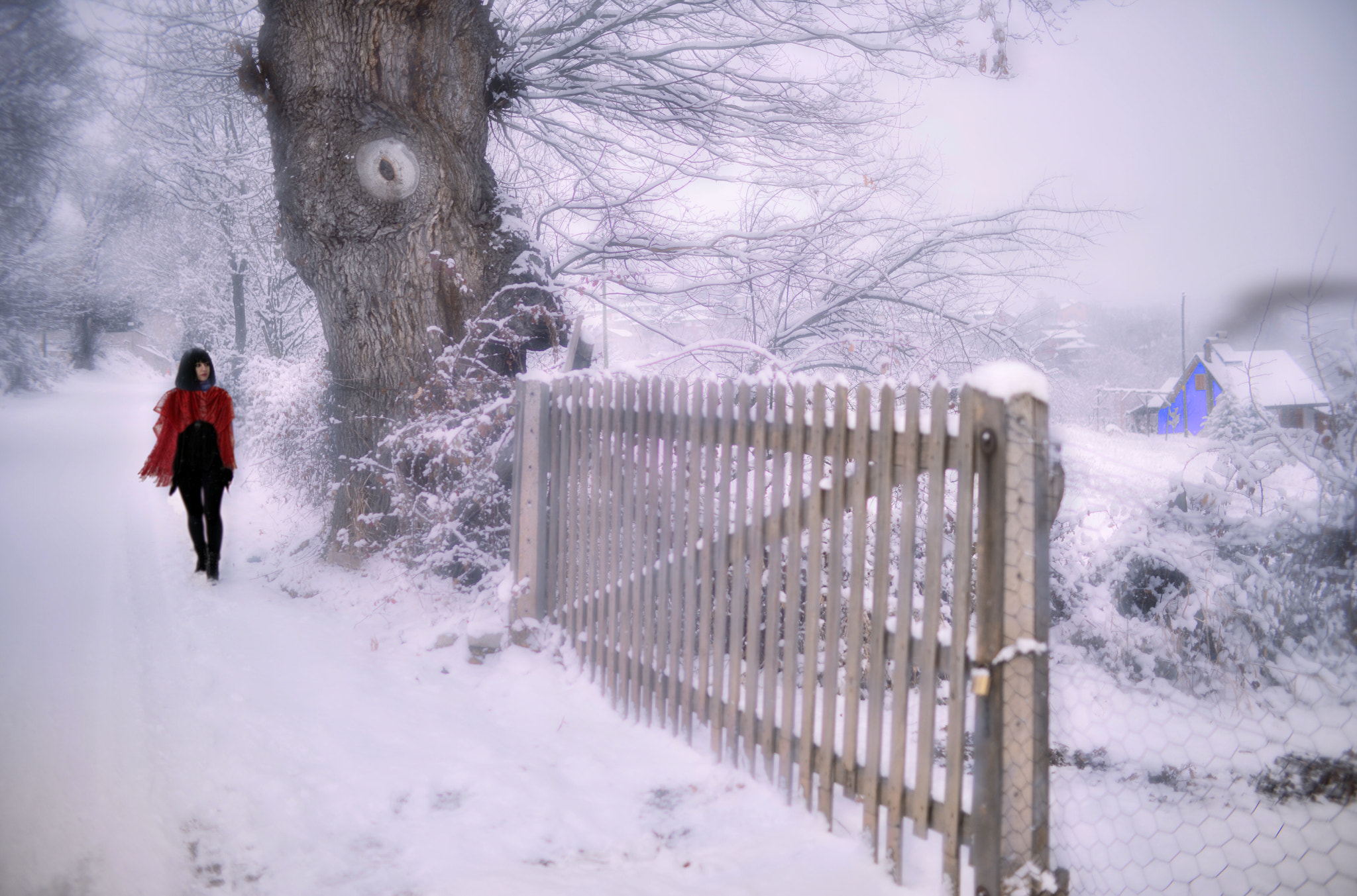 Nikon D800 sample photo. Observer... photography