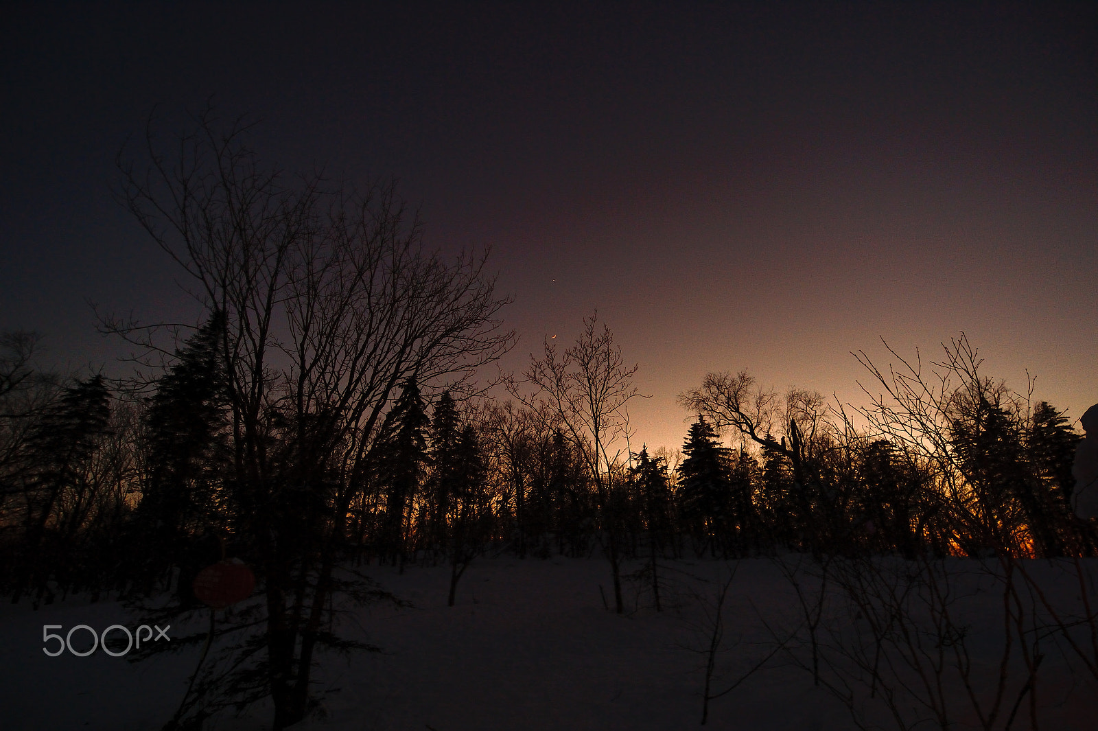 Nikon Df sample photo. And watching photography