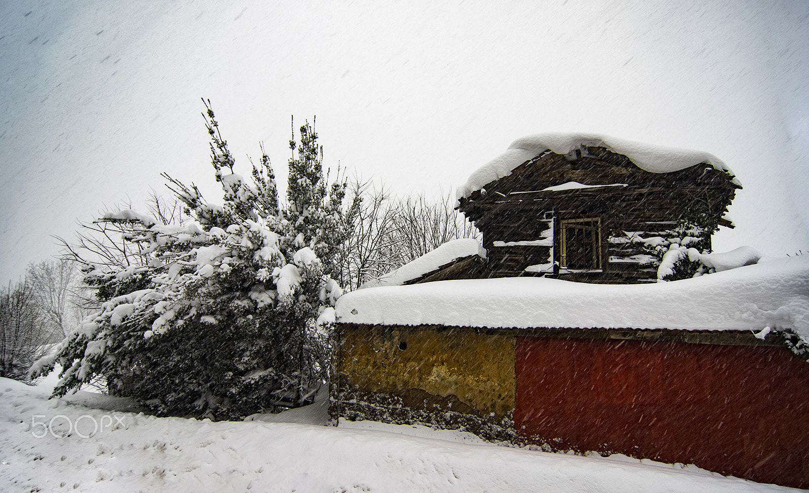 Pentax K-3 II + Pentax smc DA 12-24mm F4.0 ED AL (IF) sample photo. Snow view photography