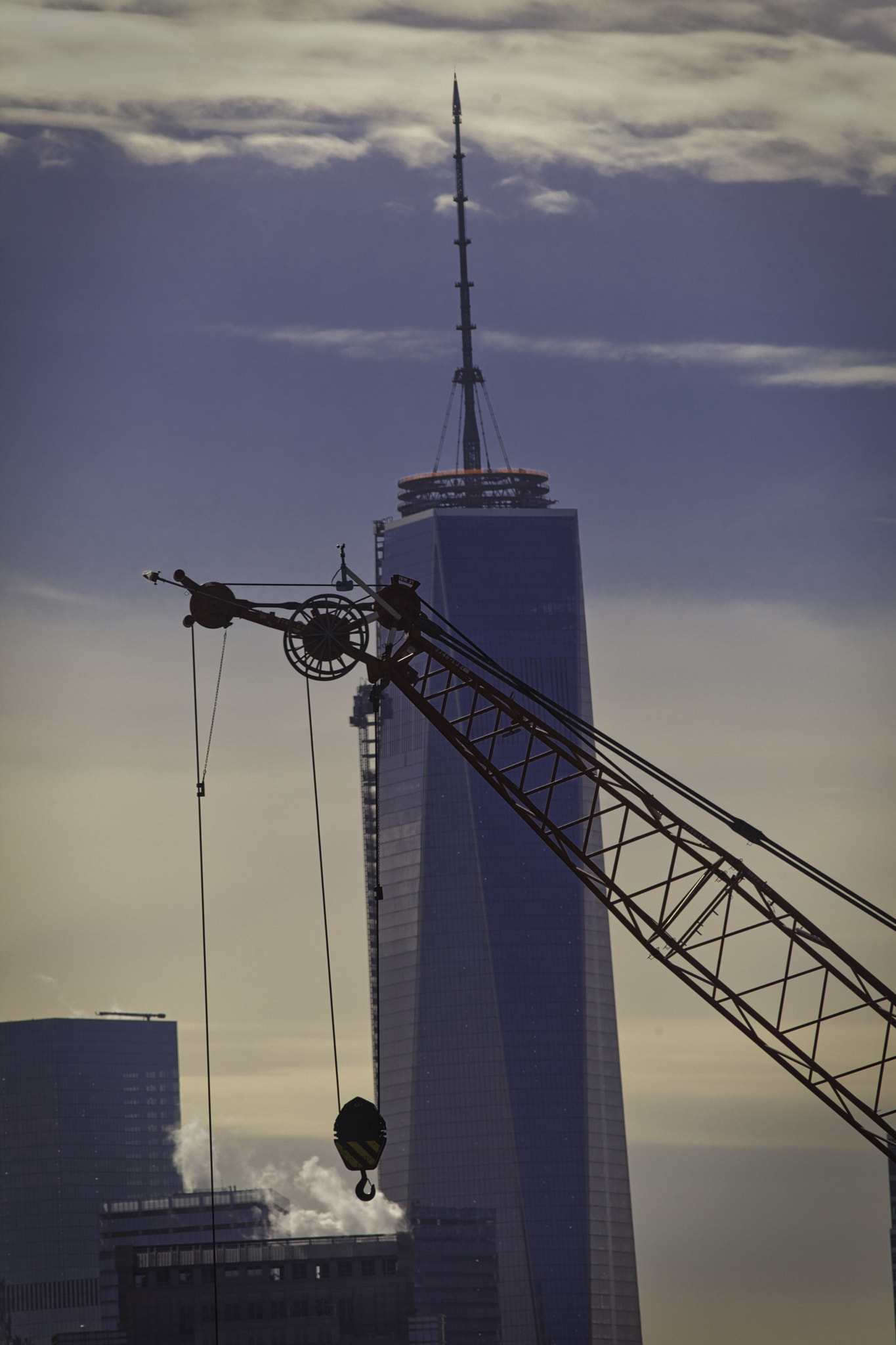 Canon EF 300mm F4L IS USM sample photo. Crane nyc photography