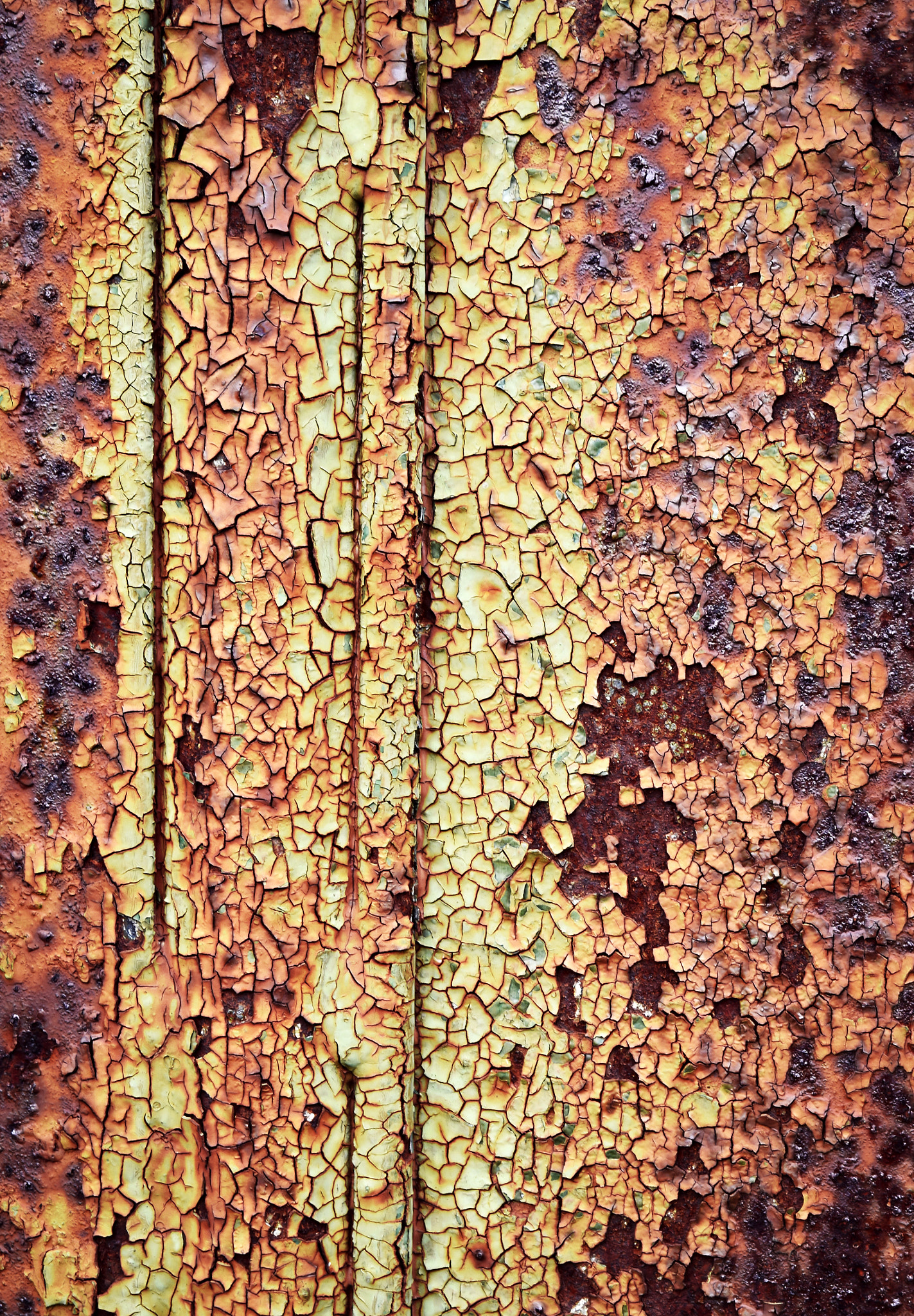 Nikon D5500 sample photo. Mosaic old paint iron photography