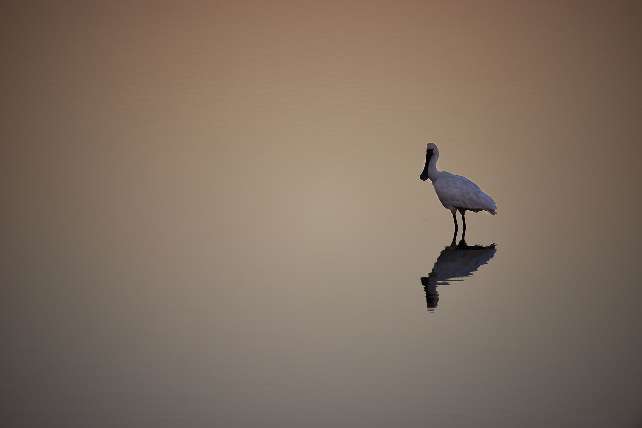 Nikon D800 sample photo. Observe photography