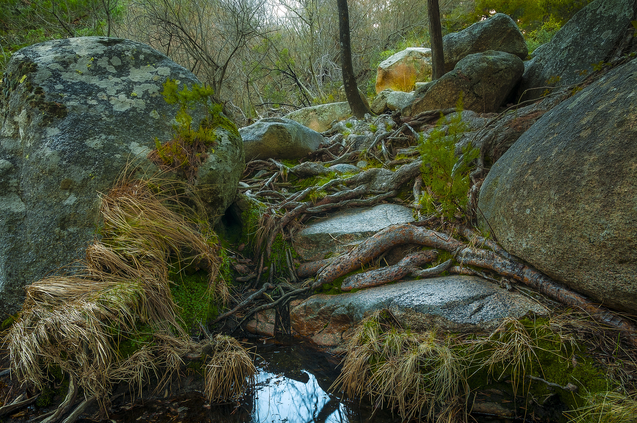 Sigma 17-50mm F2.8 EX DC OS HSM sample photo. Pedri00187 photography