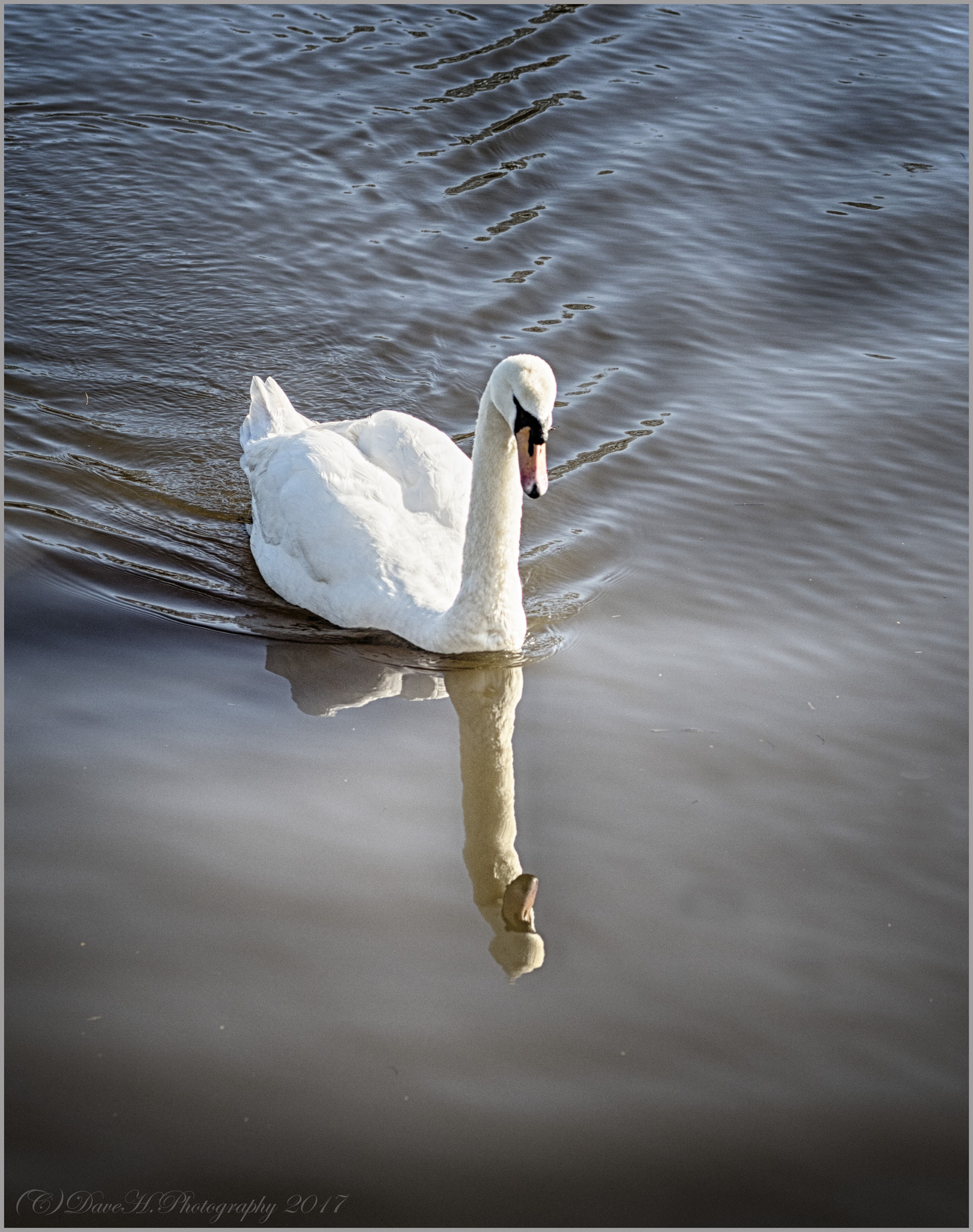 Olympus OM-D E-M5 II + Olympus M.Zuiko Digital ED 75mm F1.8 sample photo. In reflection photography