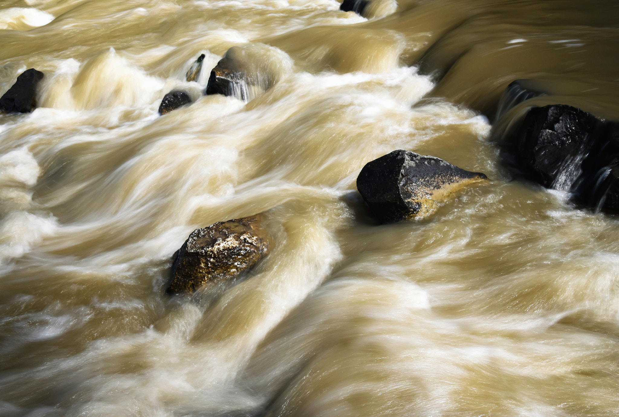 Nikon D5500 sample photo. Spring wild flooding of river photography