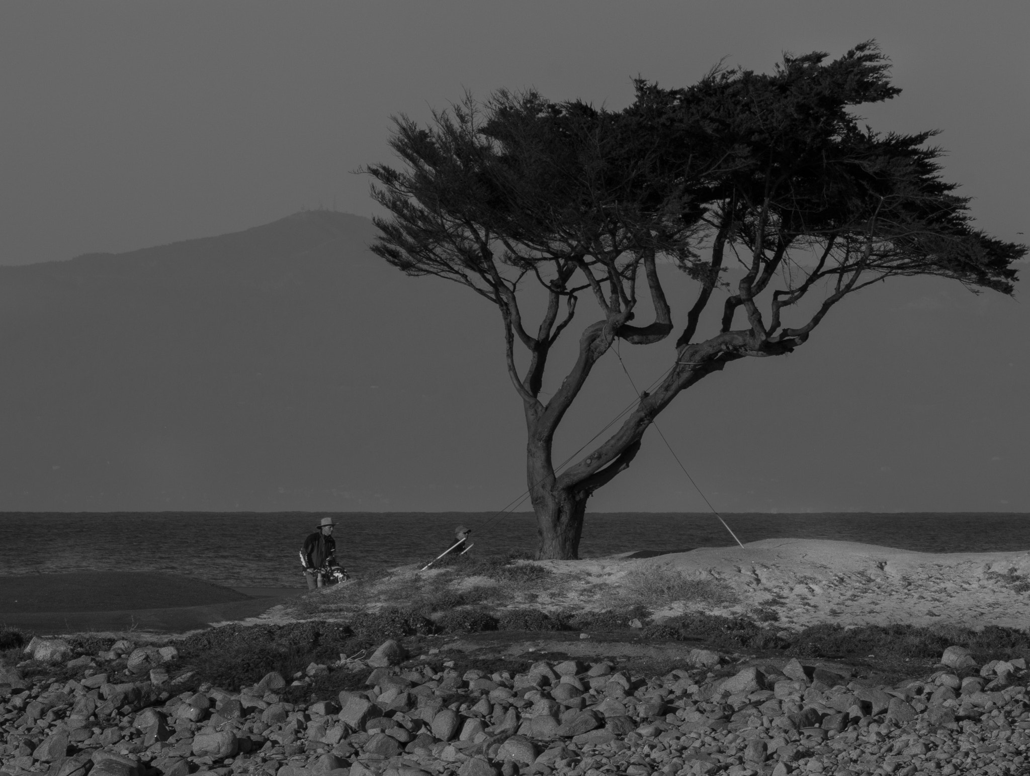 Canon EOS M5 sample photo. Idling at the beach side photography