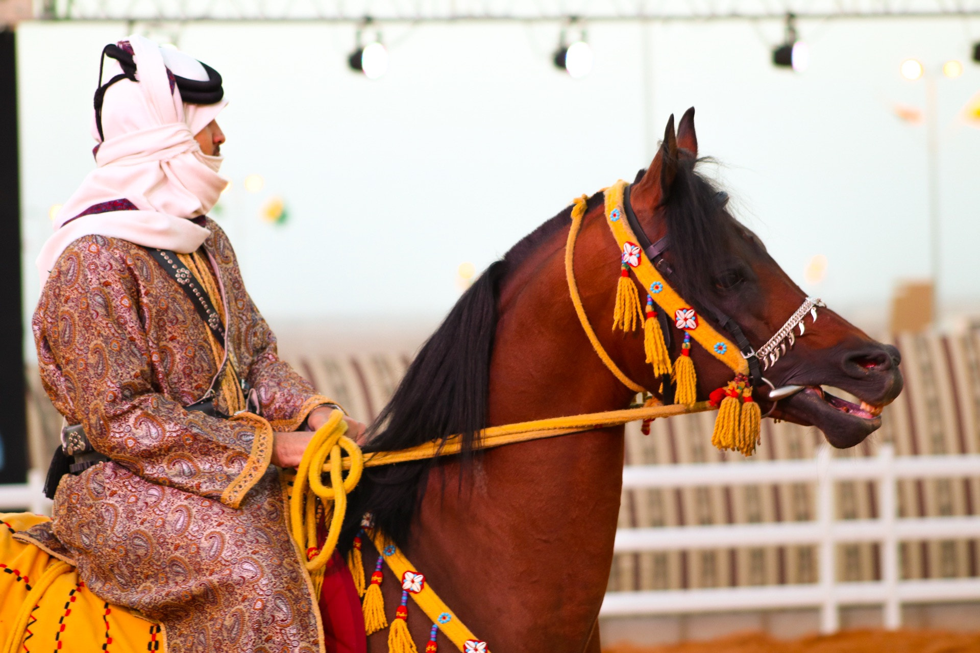 Canon EF 75-300mm f/4-5.6 USM sample photo. Janadriya festival.. photography