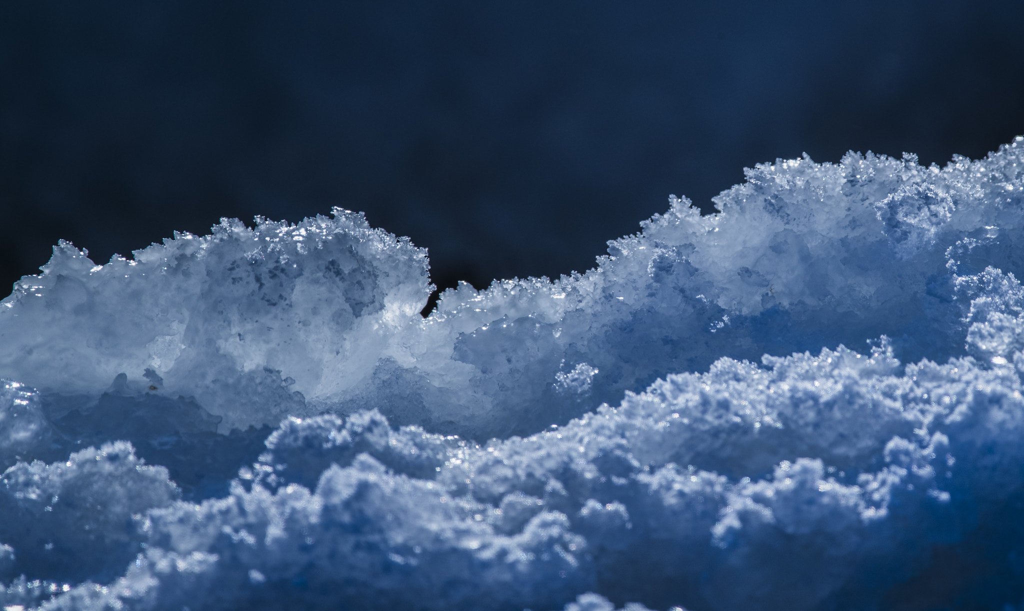 Canon EOS-1D X Mark II + Canon EF 400mm F4.0 DO IS USM sample photo. The winter blues photography