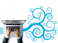 Software - Web development - Seo expert company