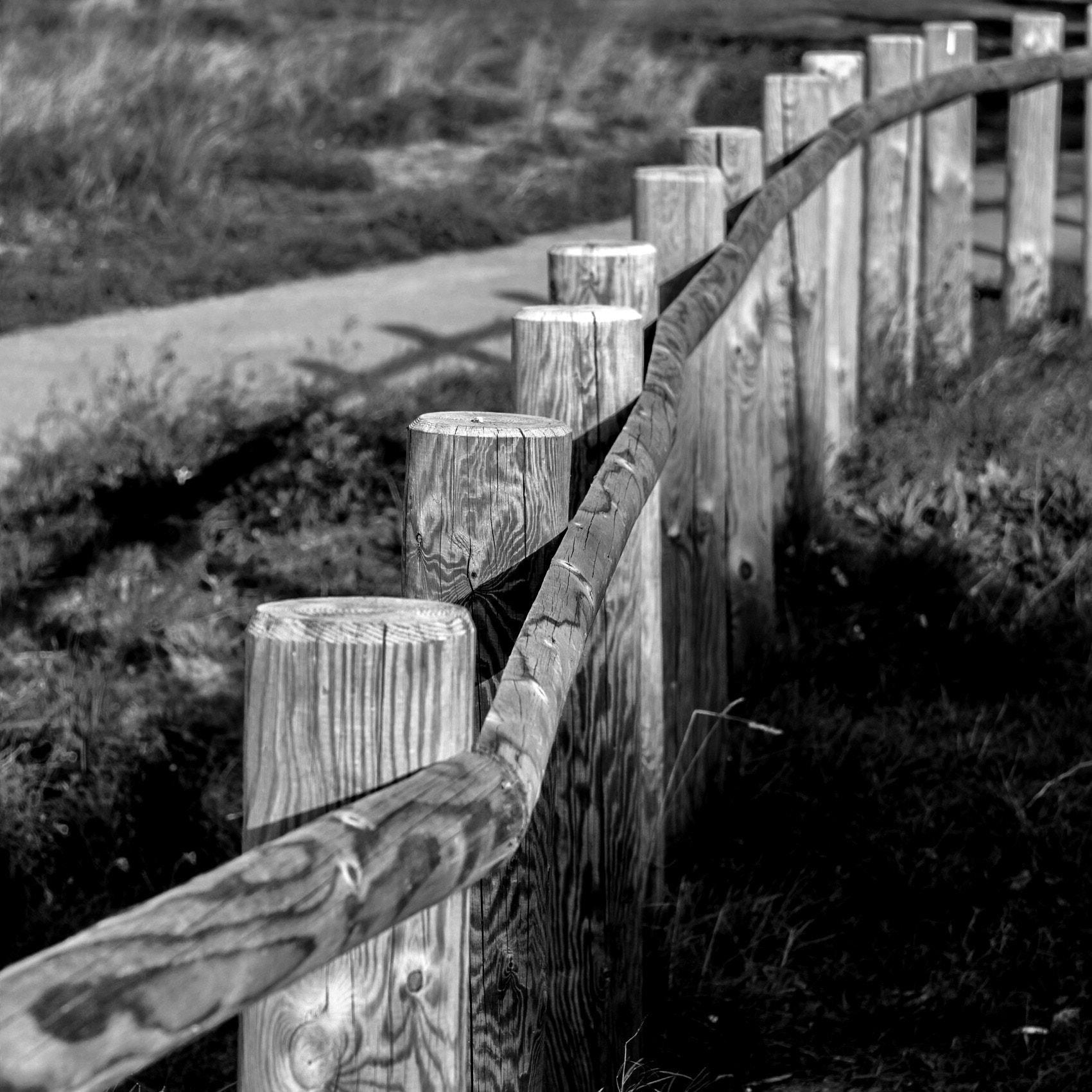 Sony Alpha NEX-6 + Sony E 55-210mm F4.5-6.3 OSS sample photo. Fence photography