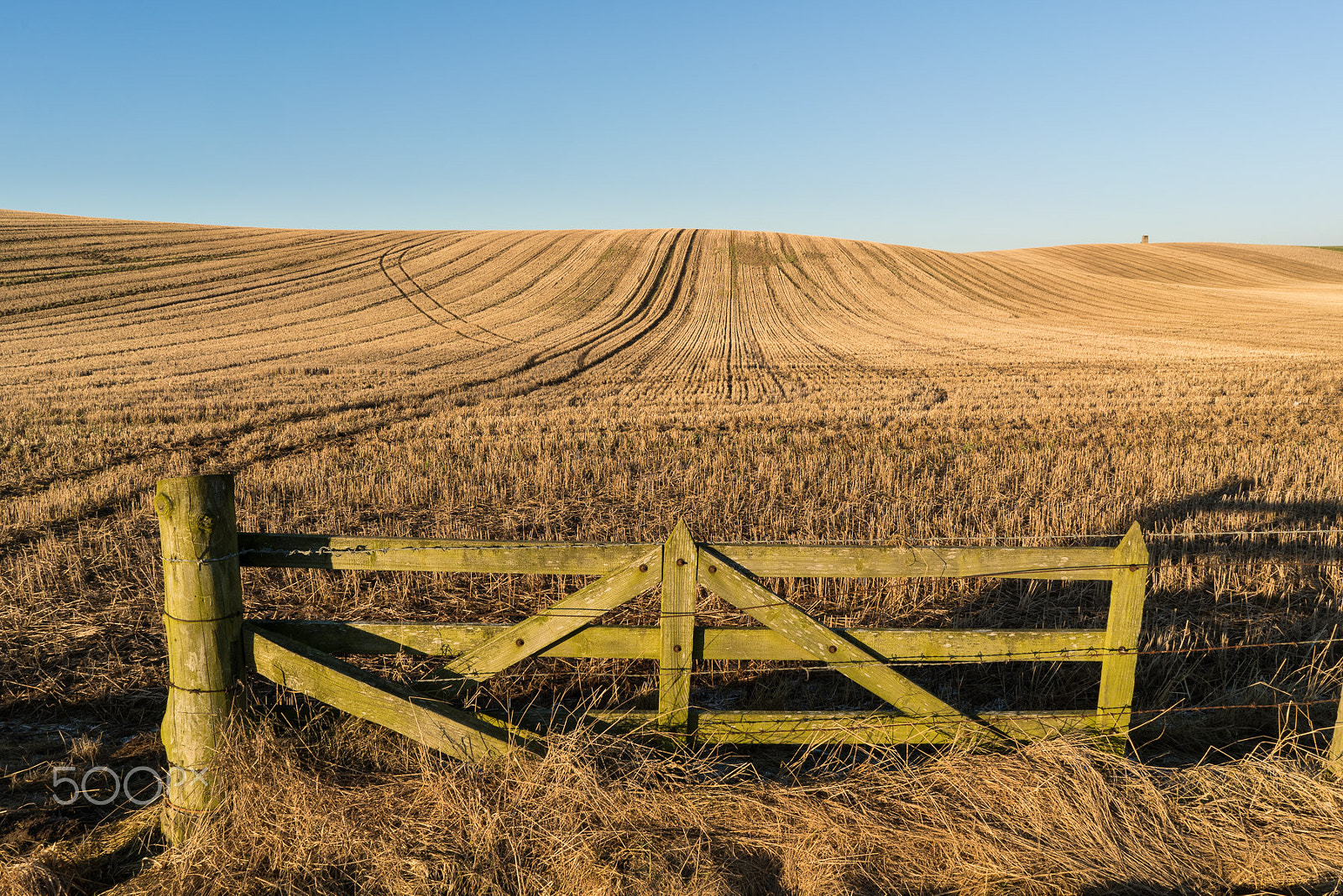 Sony FE 28mm F2 sample photo. Gate photography