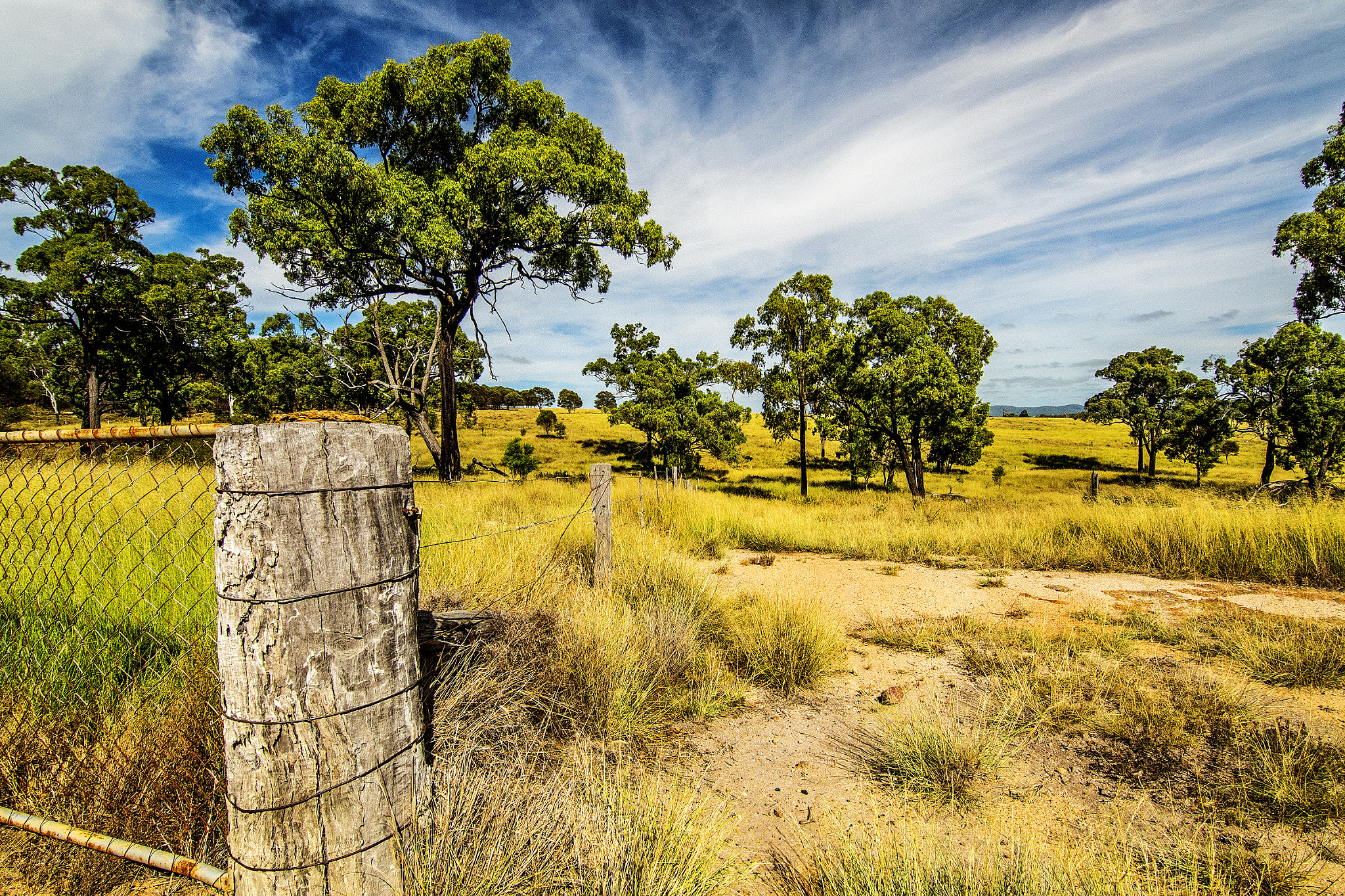 Nikon D810 sample photo. Beside the gate post photography