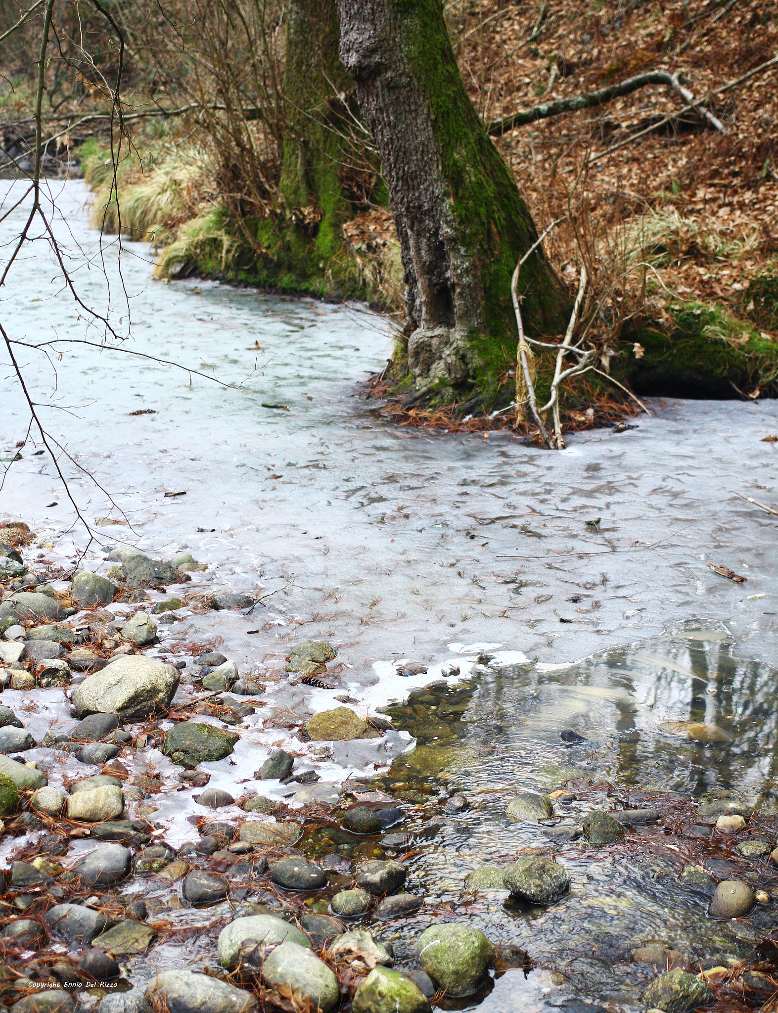 Canon EOS 60D sample photo. Old frozen rill photography